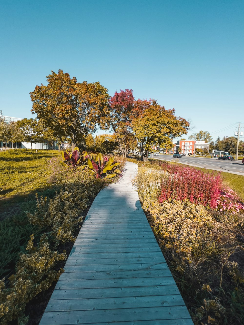 a wooden walkway leading to a lush green park