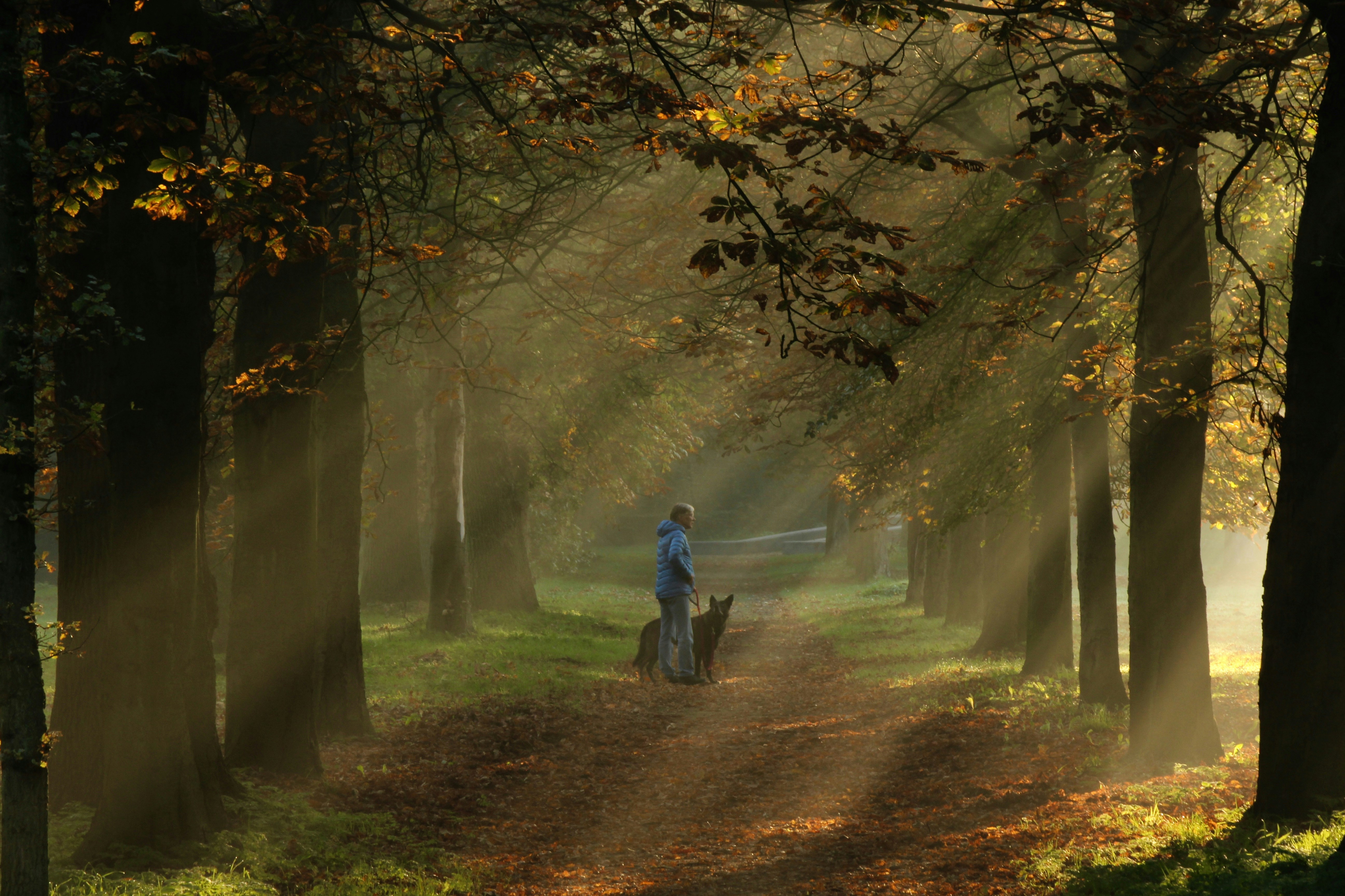 การดูแลสุขภาพในช่วงฤดูใบไม้ร่วง 2565