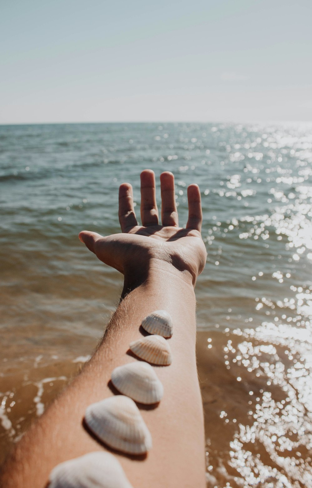 a person's hand reaching out towards the ocean