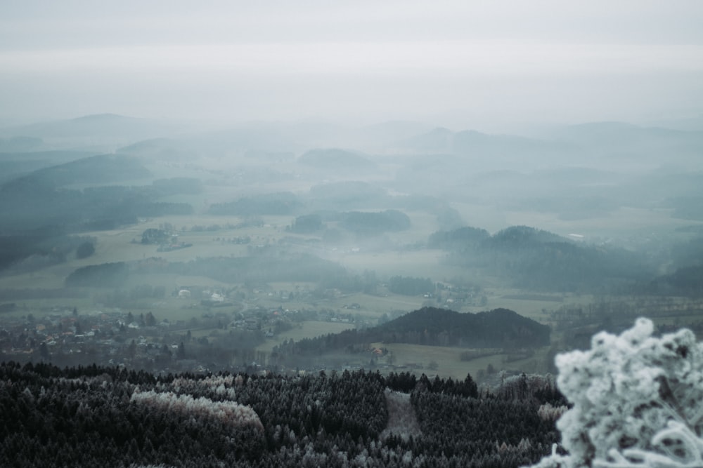 谷と山の霧の眺め
