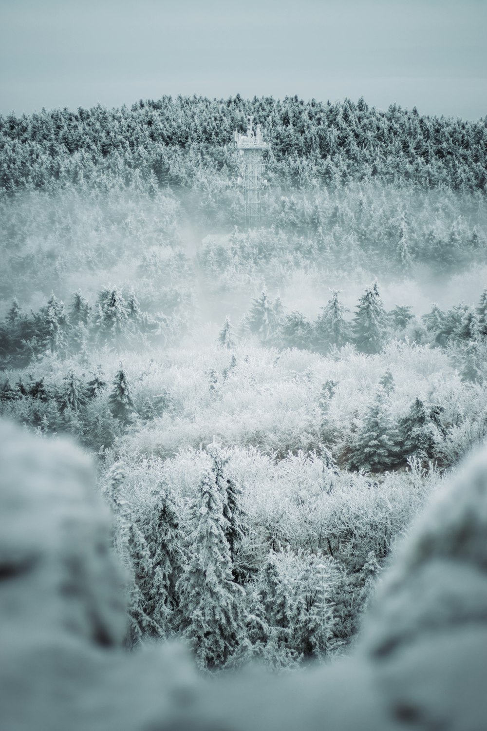 a snowy landscape with trees and a house in the distance