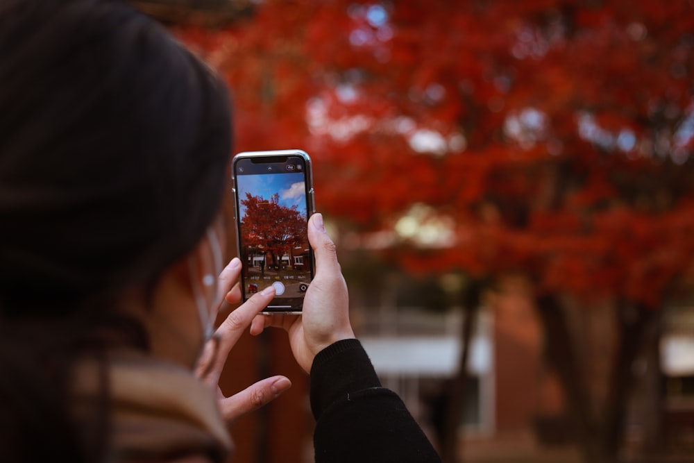 a woman taking a picture of a tree with her cell phone