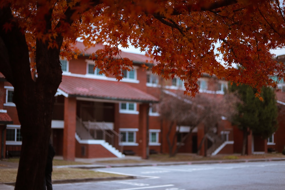 a red brick building sitting next to a tree