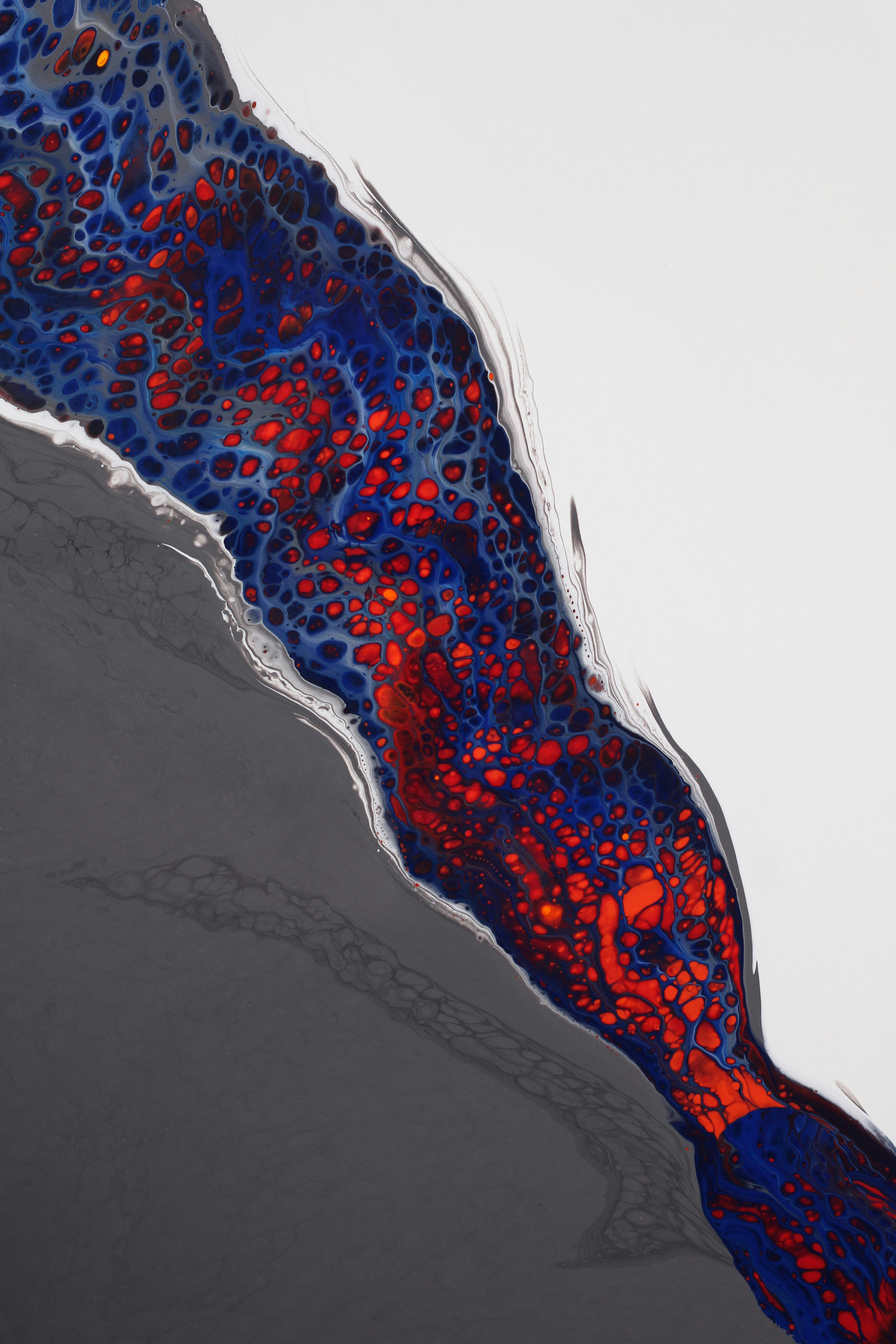 Photo by susan_wilkinson