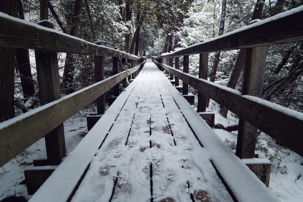 a wooden bridge in the middle of a snowy forest