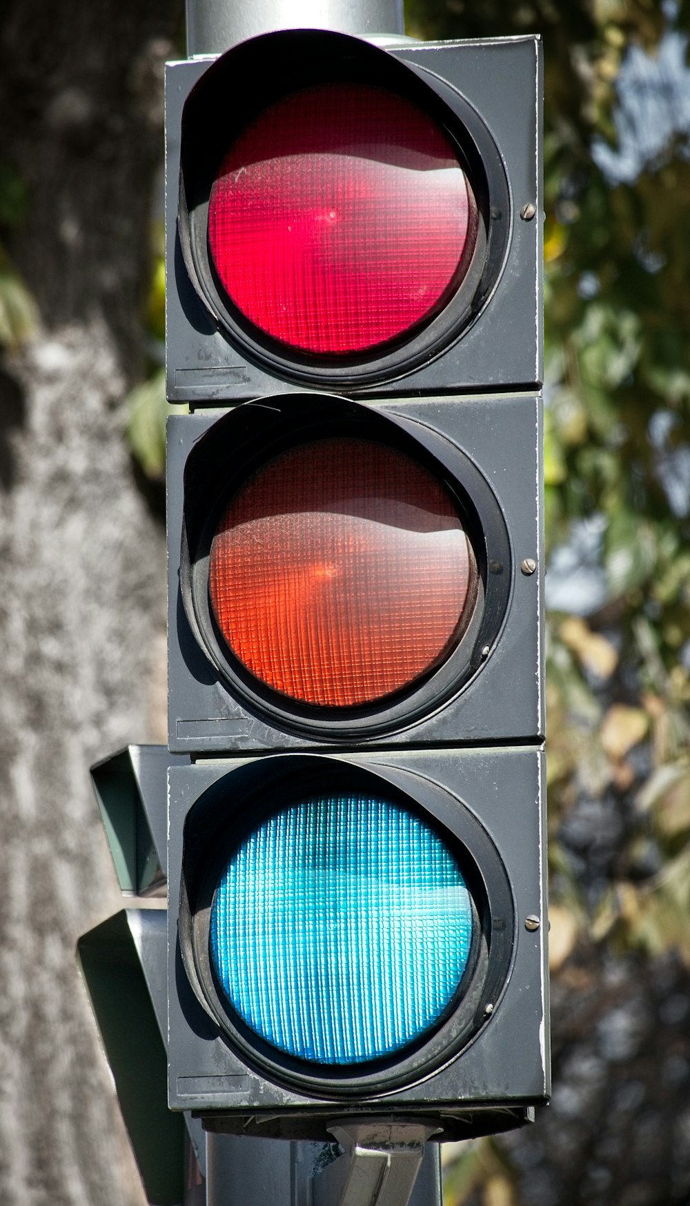 a close up of a traffic light with trees in the background