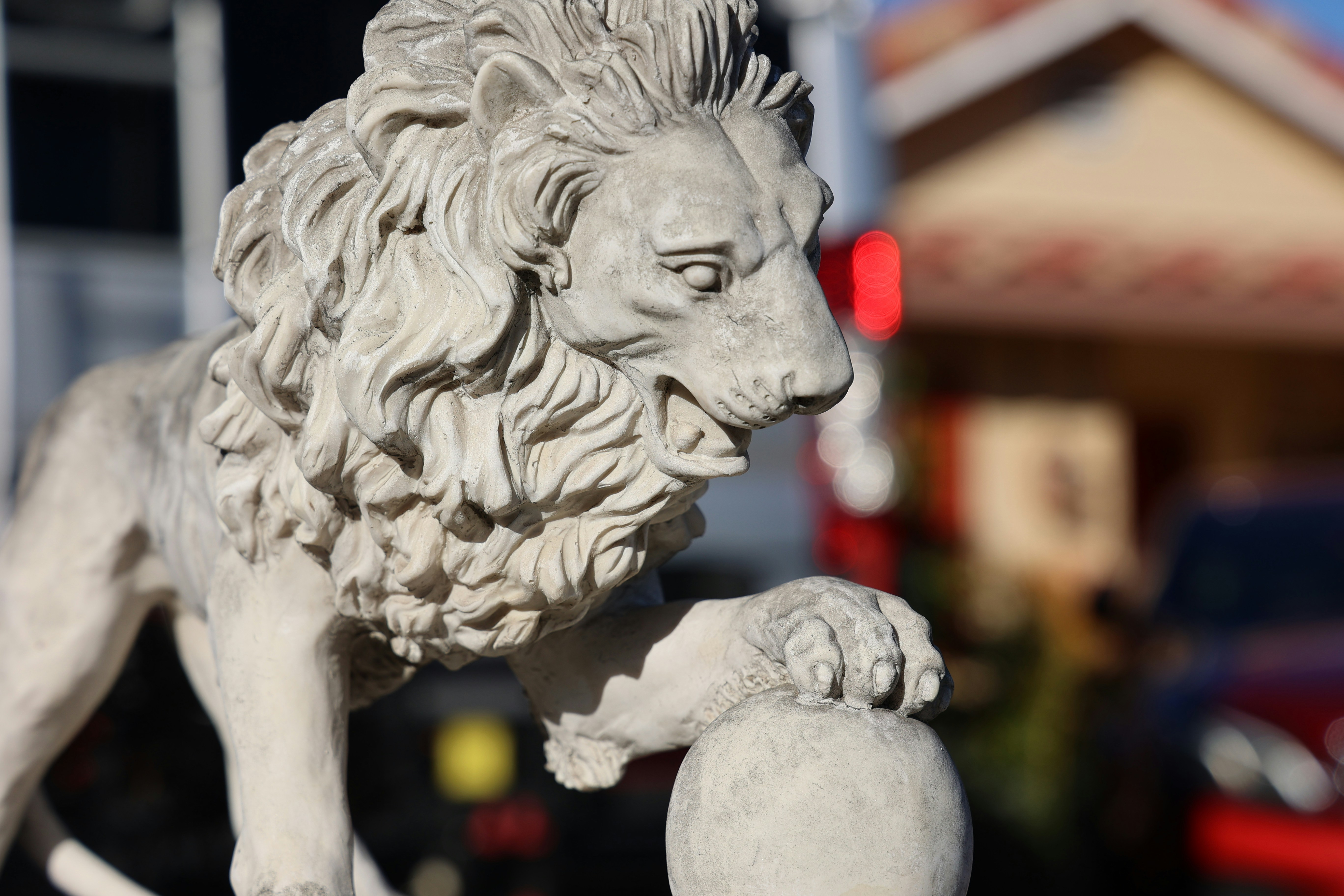 Photo by paola_canasvaladez