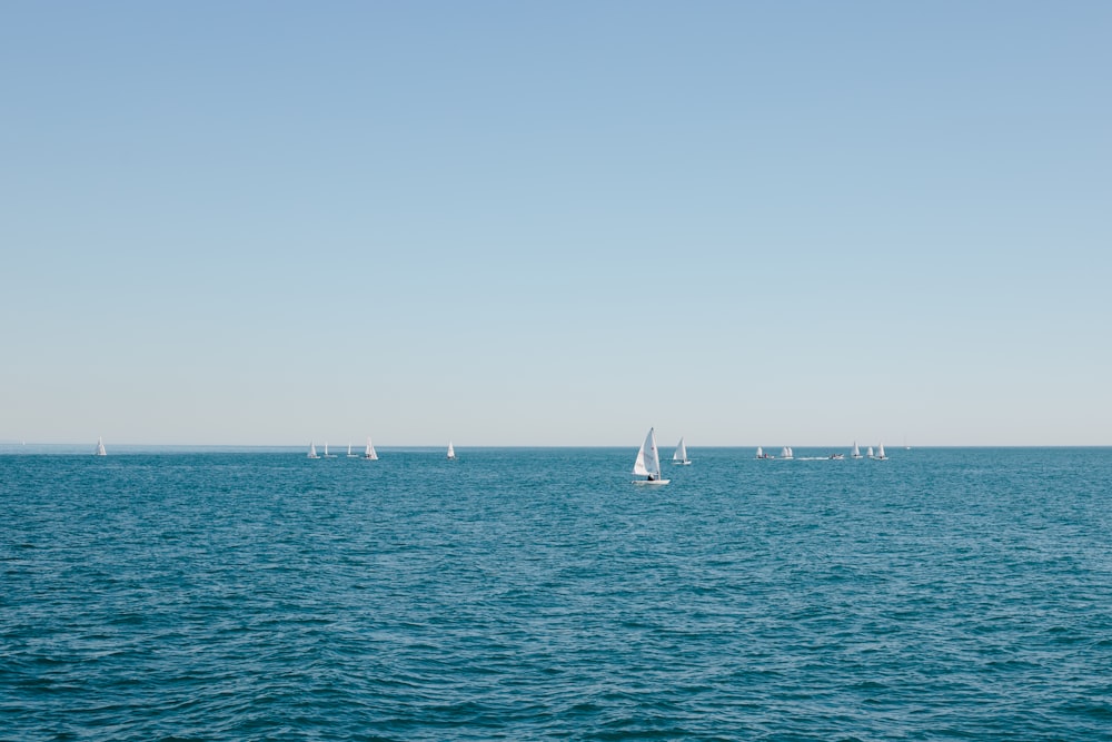 a group of sailboats floating on top of a large body of water