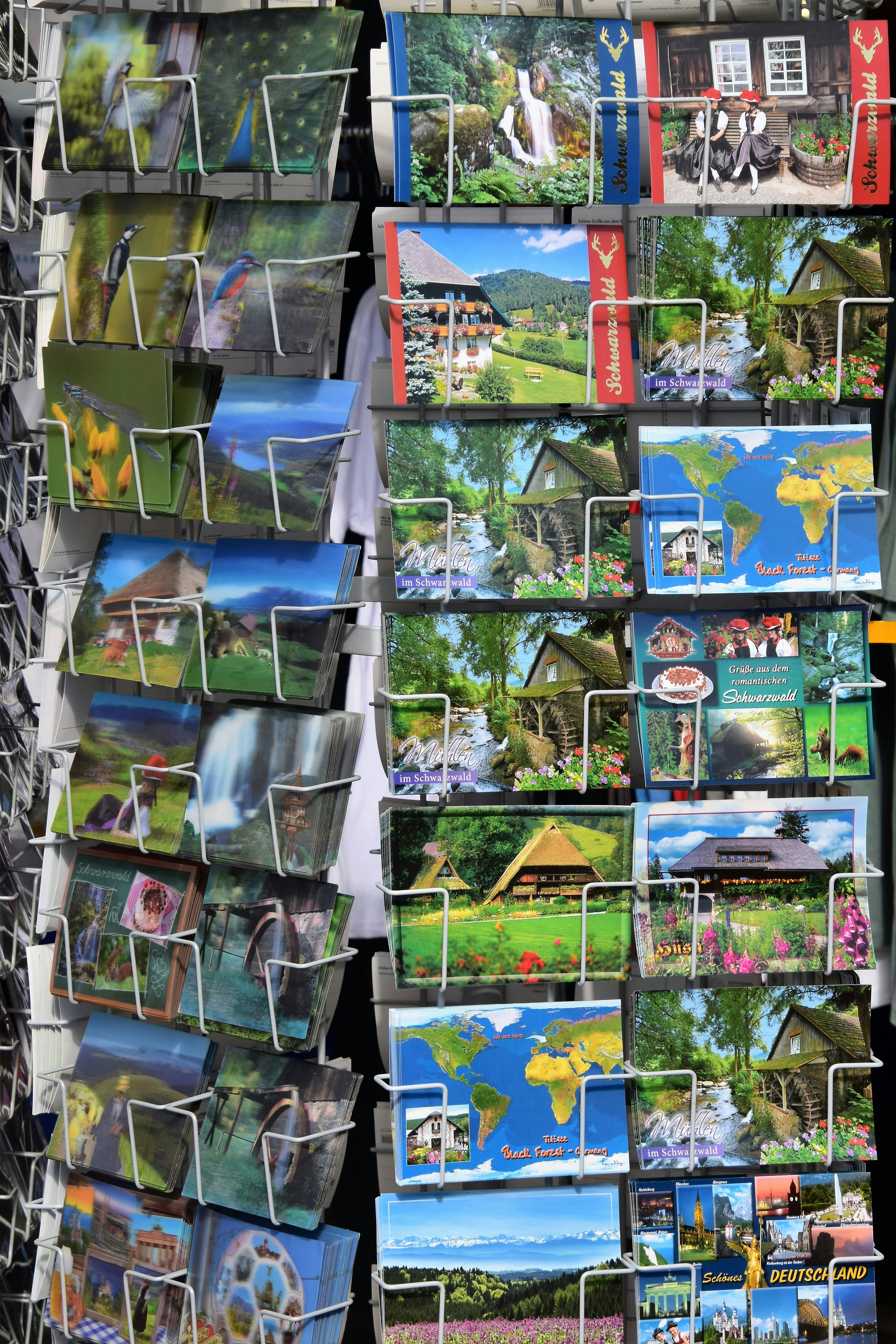 a bunch of pictures hanging up on a wall