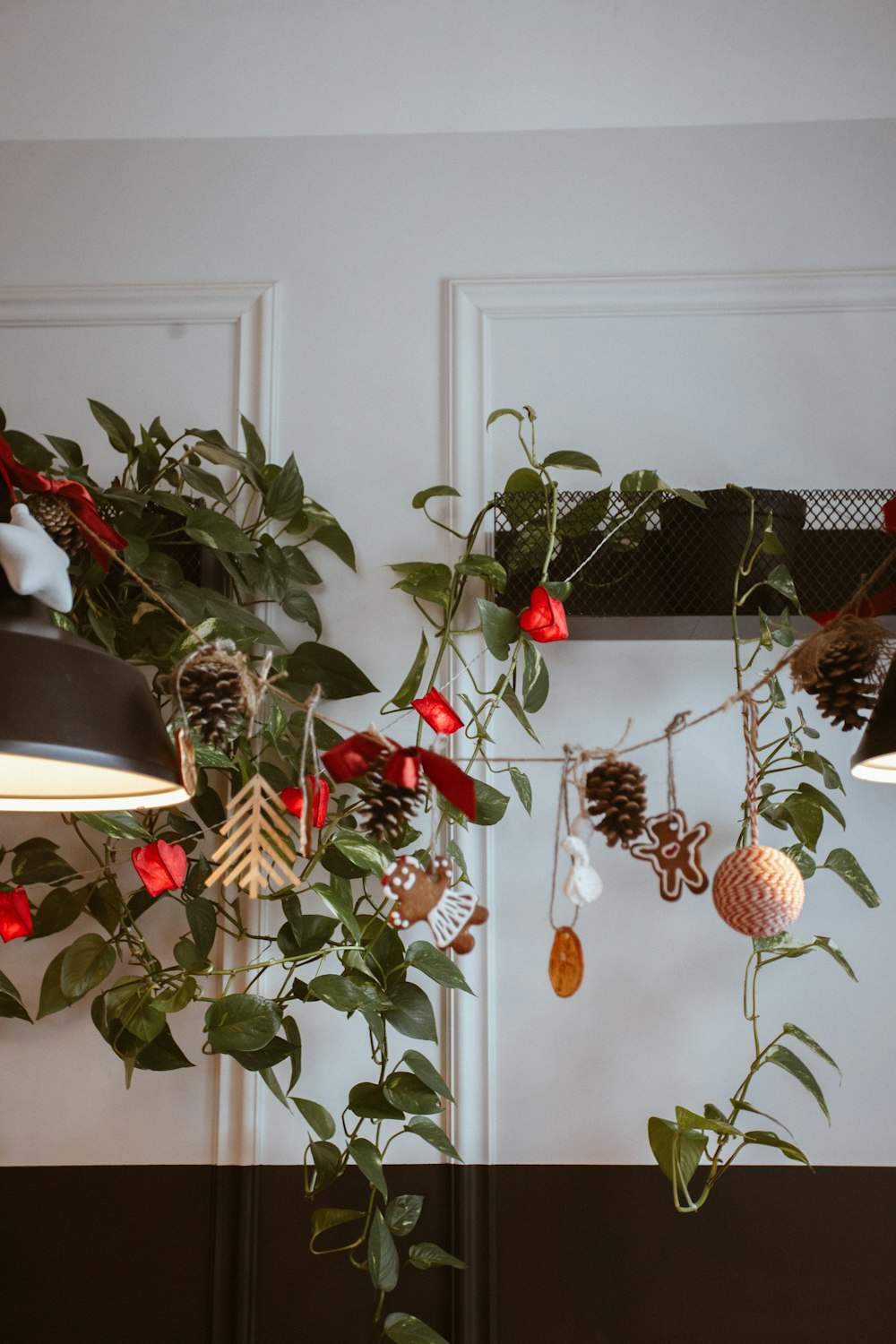 a plant hanging from a wall next to a lamp