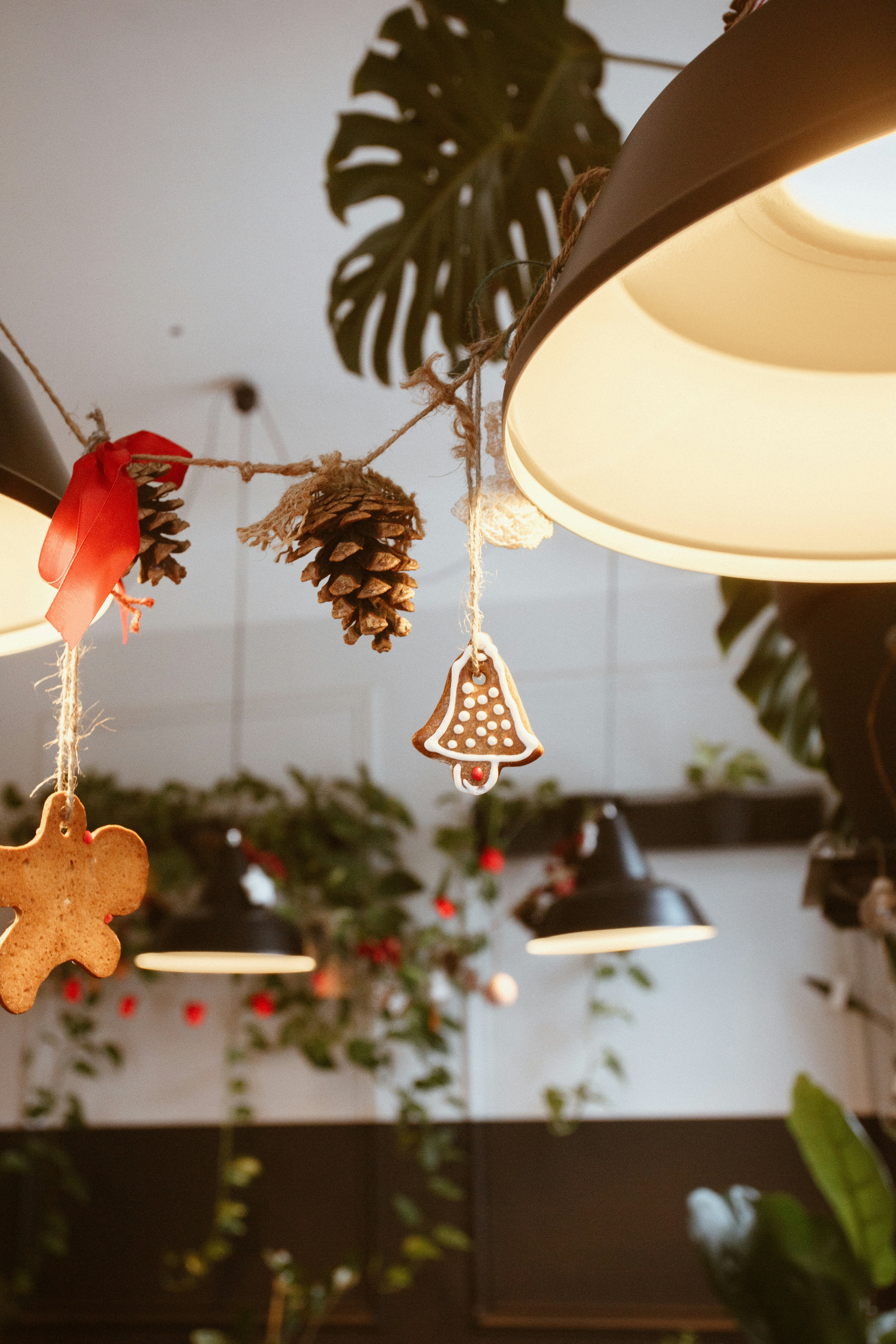 A bunch of christmas decorations hanging from a ceiling photo – Free  Christmas Image on Unsplash, image size:3000x4500