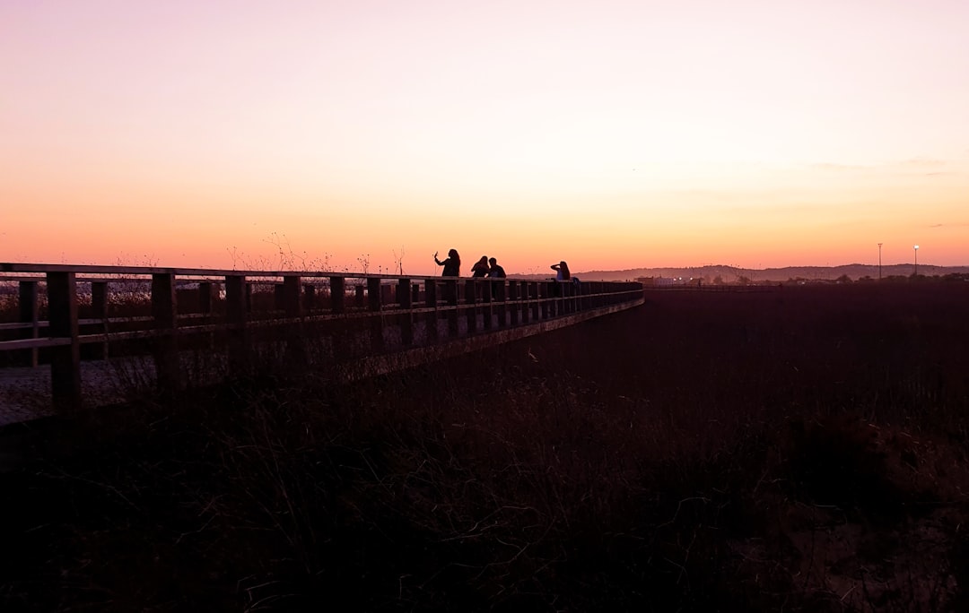 a group of people standing on top of a bridge