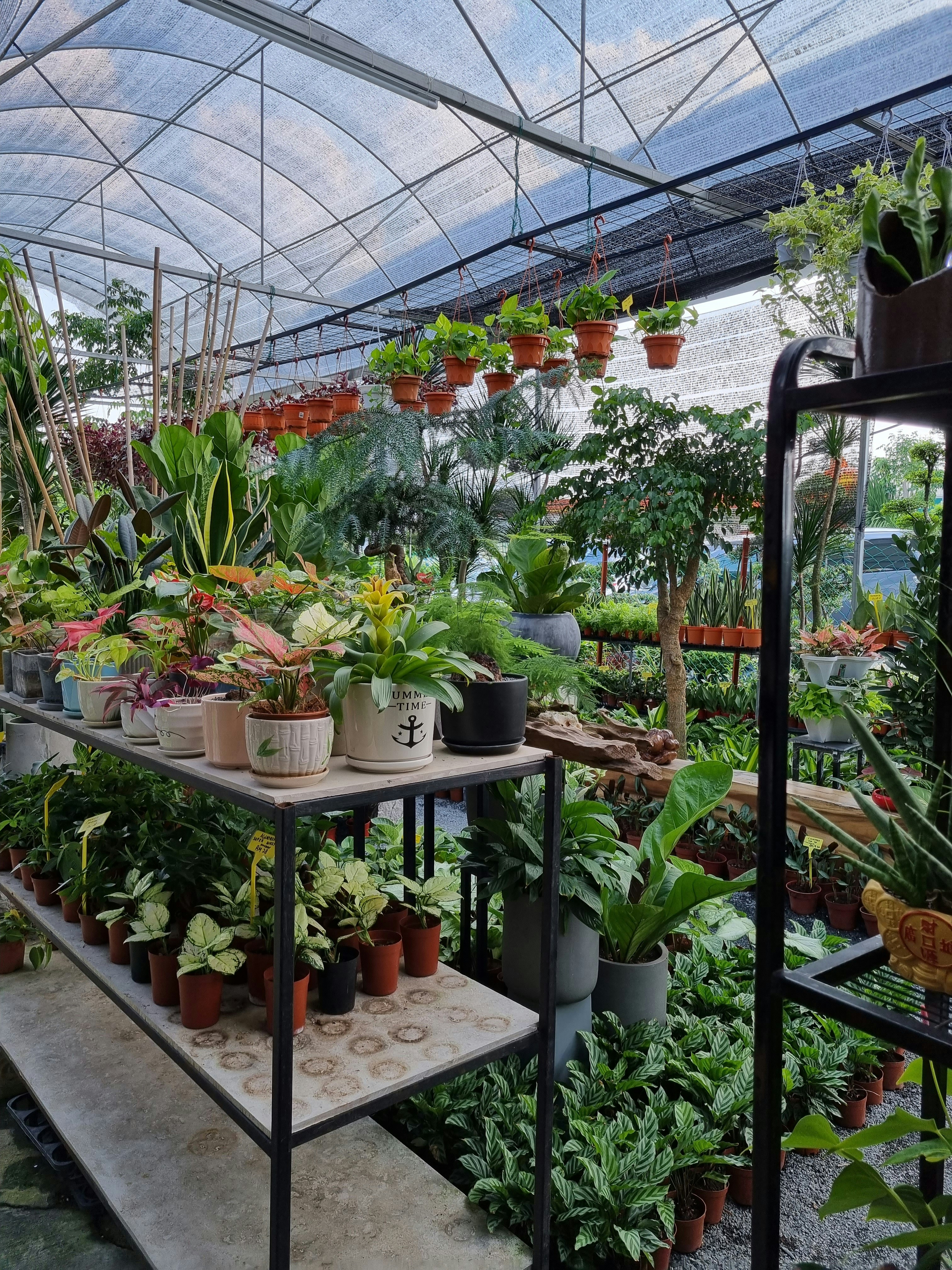 a greenhouse filled with lots of potted plants