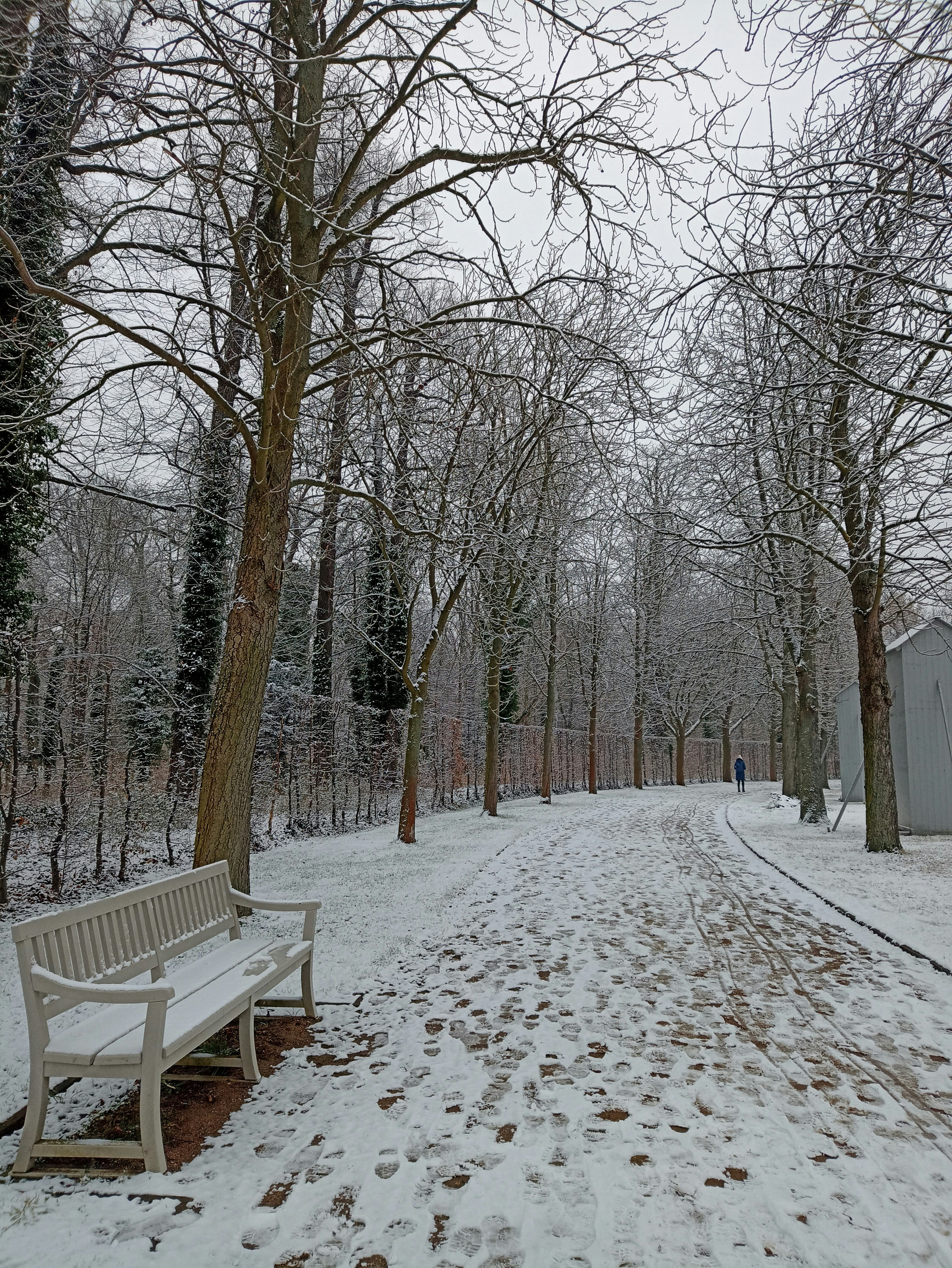un banc blanc assis au milieu d’un parc enneigé