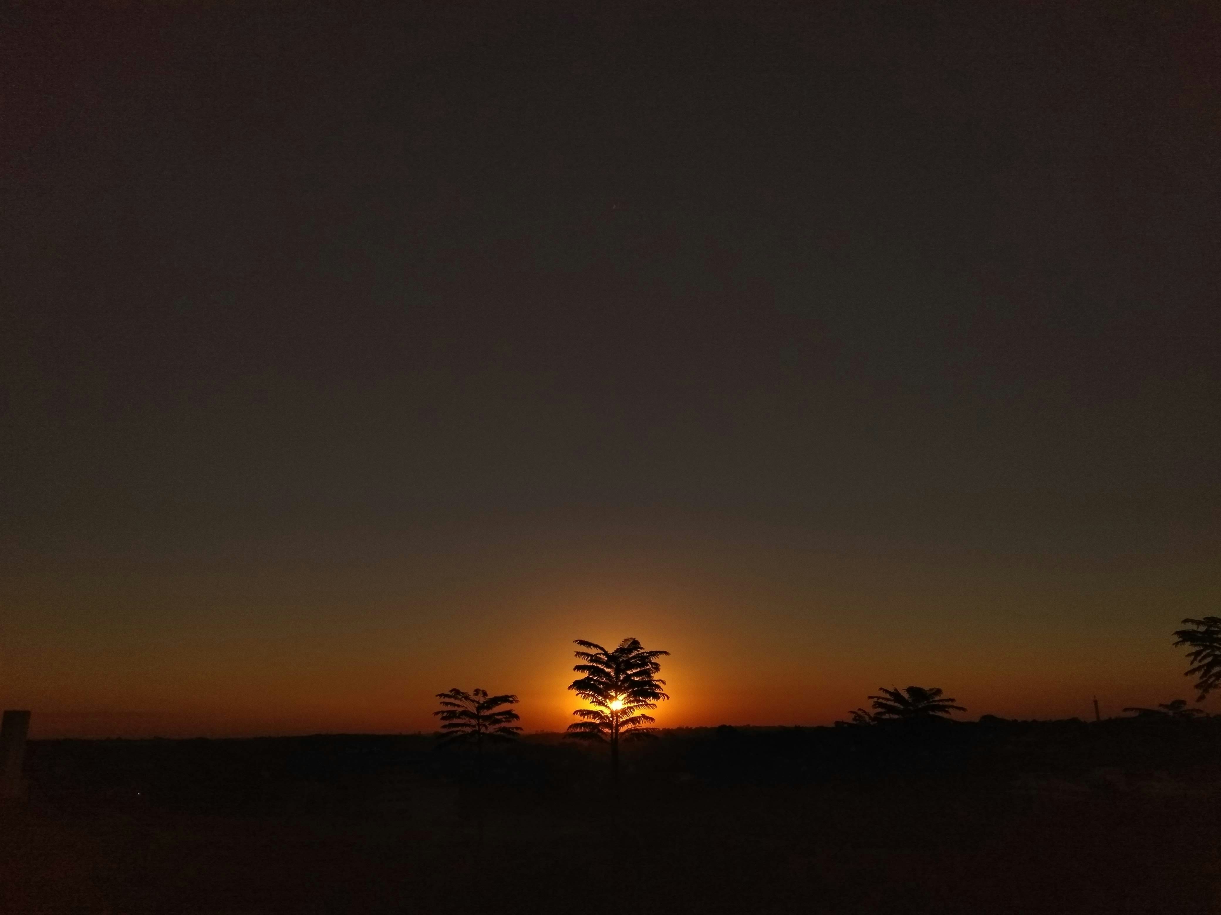 Photo by razeira