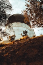 An observatory is partially visible through the framing of trees, with a dark domed roof and white building structure. The scene is set on a hill with rich, earthy soil and autumnal light casting warm hues across the environment.