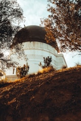 An observatory is partially visible through the framing of trees, with a dark domed roof and white building structure. The scene is set on a hill with rich, earthy soil and autumnal light casting warm hues across the environment.