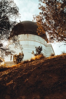 An observatory is partially visible through the framing of trees, with a dark domed roof and white building structure. The scene is set on a hill with rich, earthy soil and autumnal light casting warm hues across the environment.