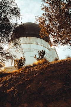 An observatory is partially visible through the framing of trees, with a dark domed roof and white building structure. The scene is set on a hill with rich, earthy soil and autumnal light casting warm hues across the environment.