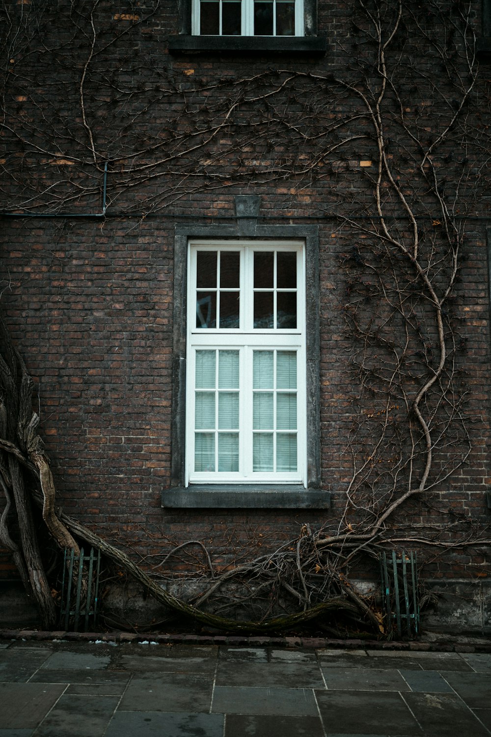 a brick building with a window and vines growing on it