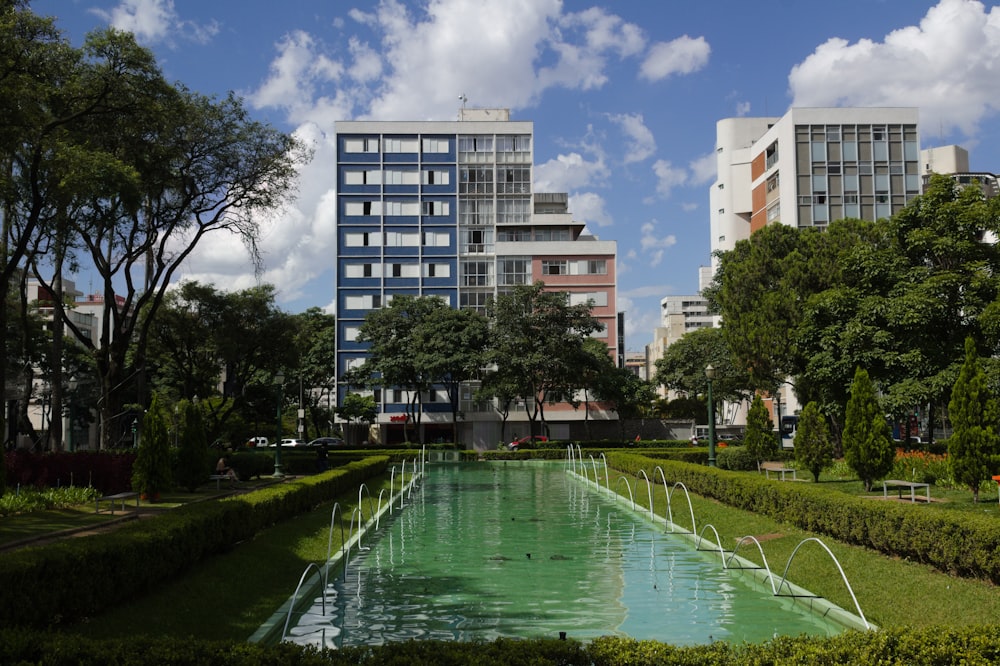 a large pool of water in the middle of a park