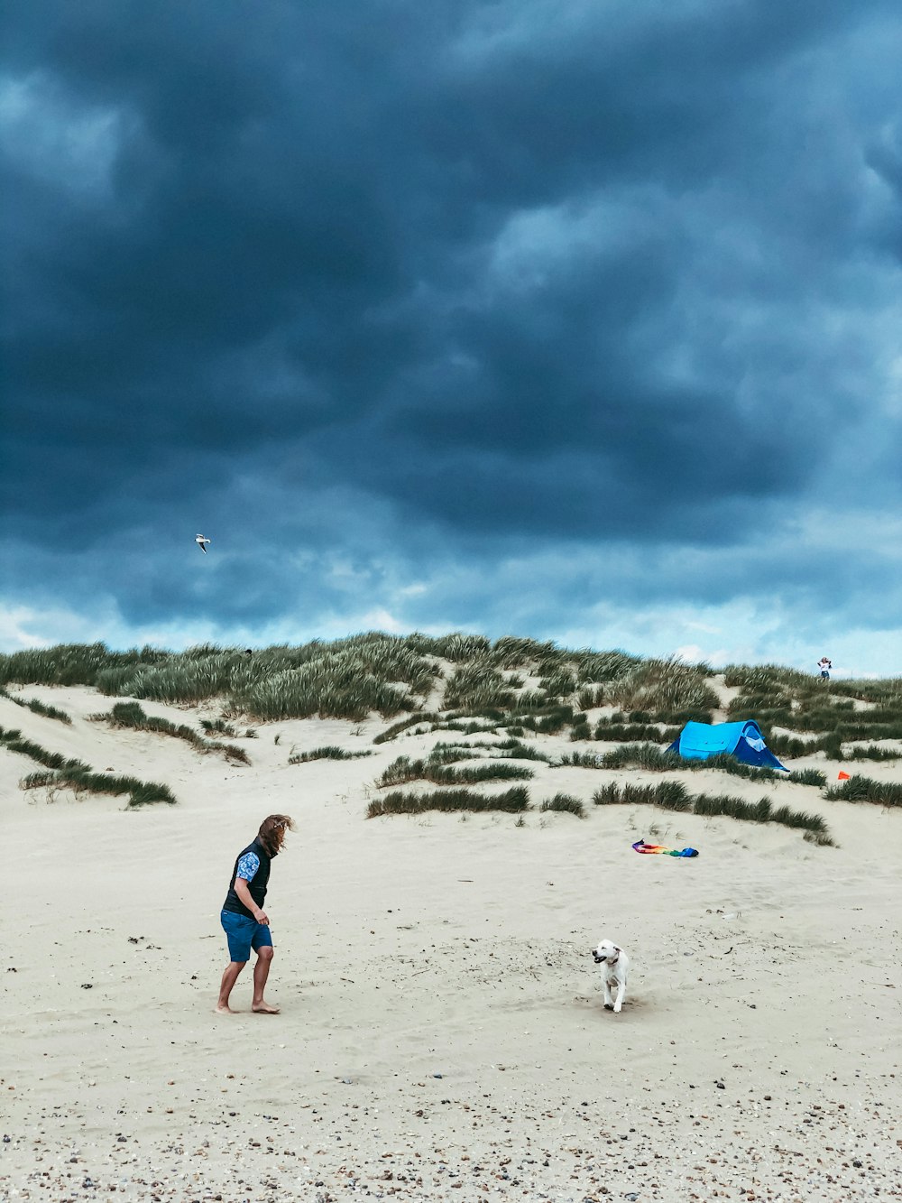 a person and a dog on a beach under a cloudy sky