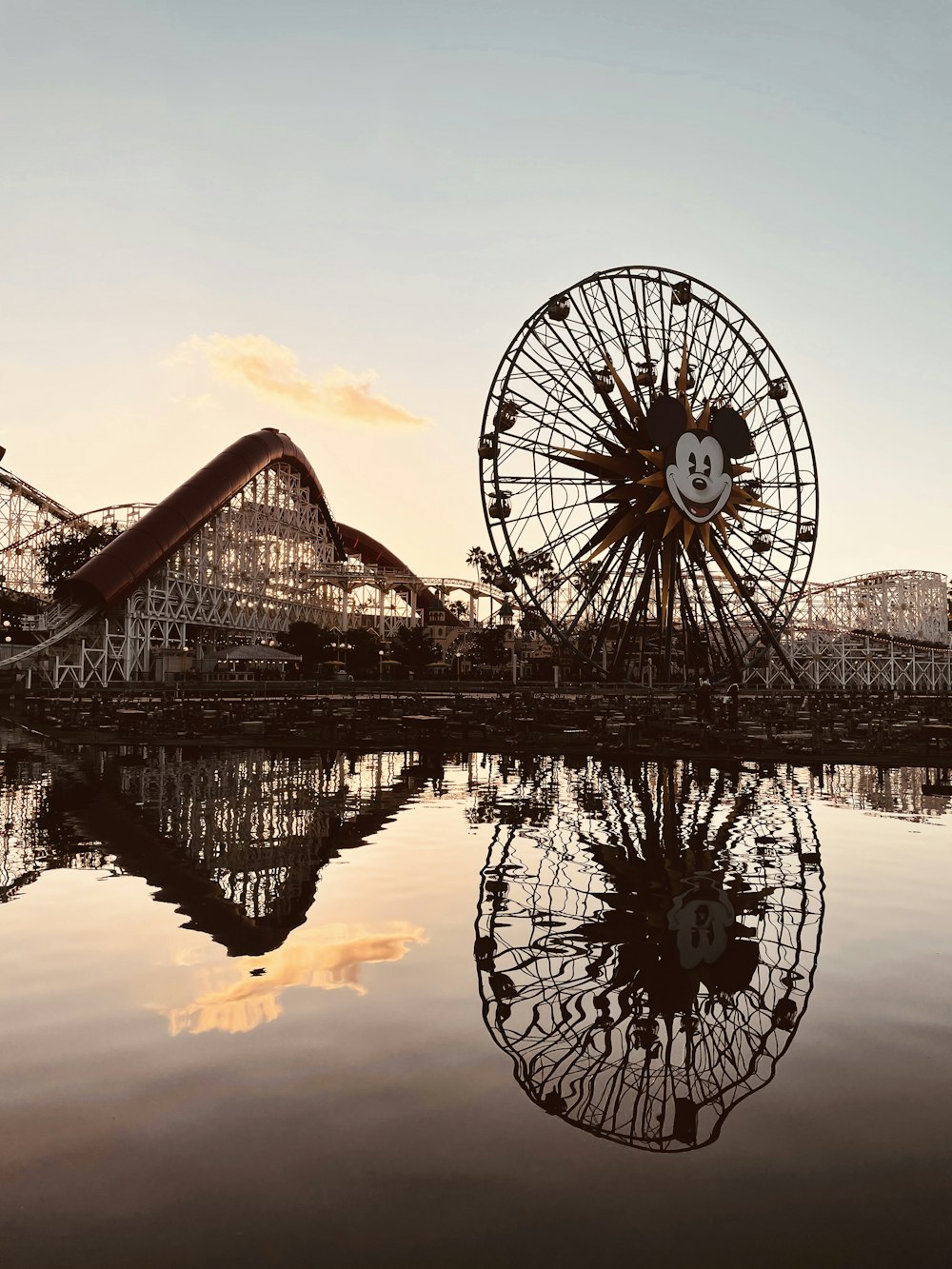 a ferris wheel sitting on top of a lake next to a roller coaster