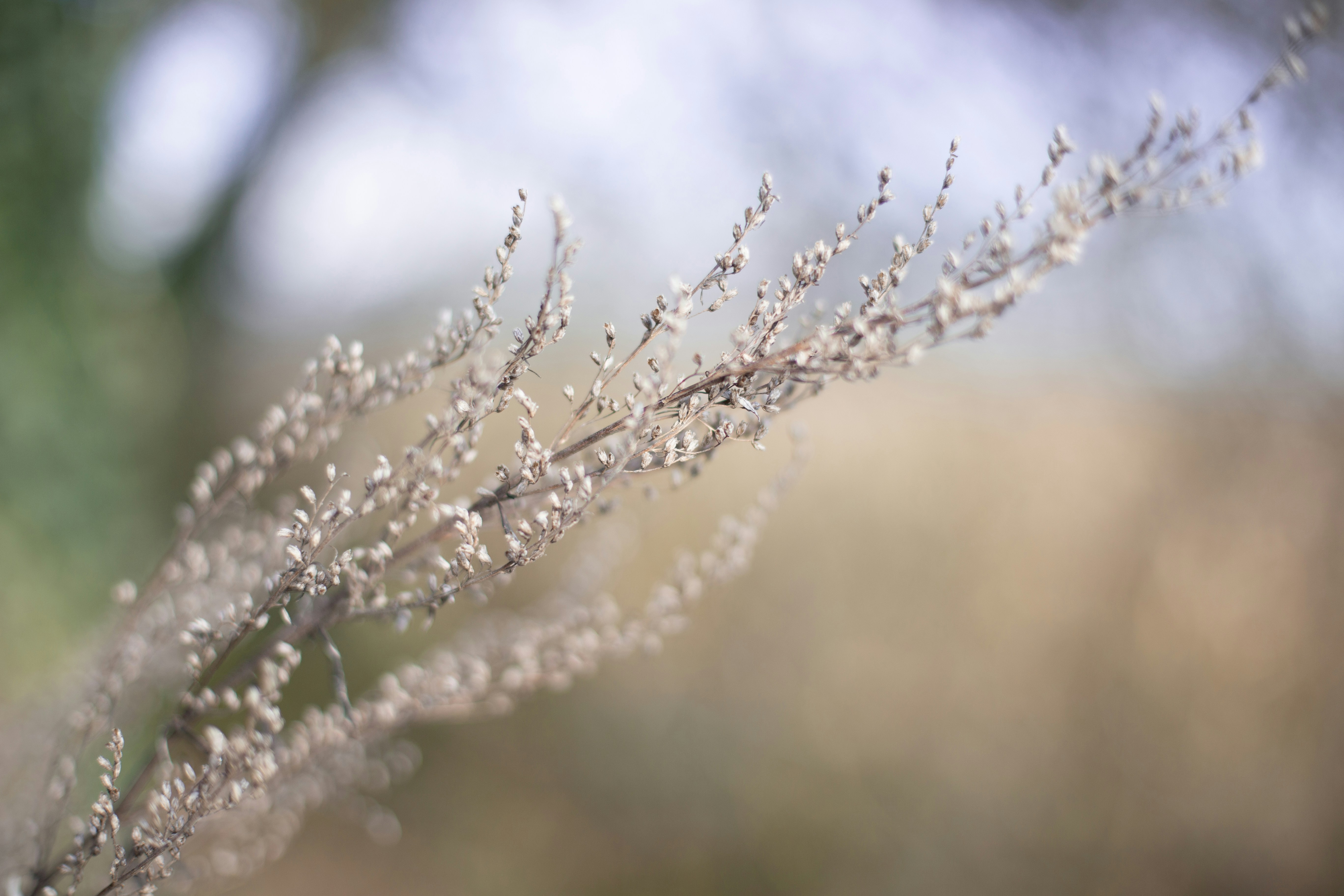 Photo by annemarieschaepman