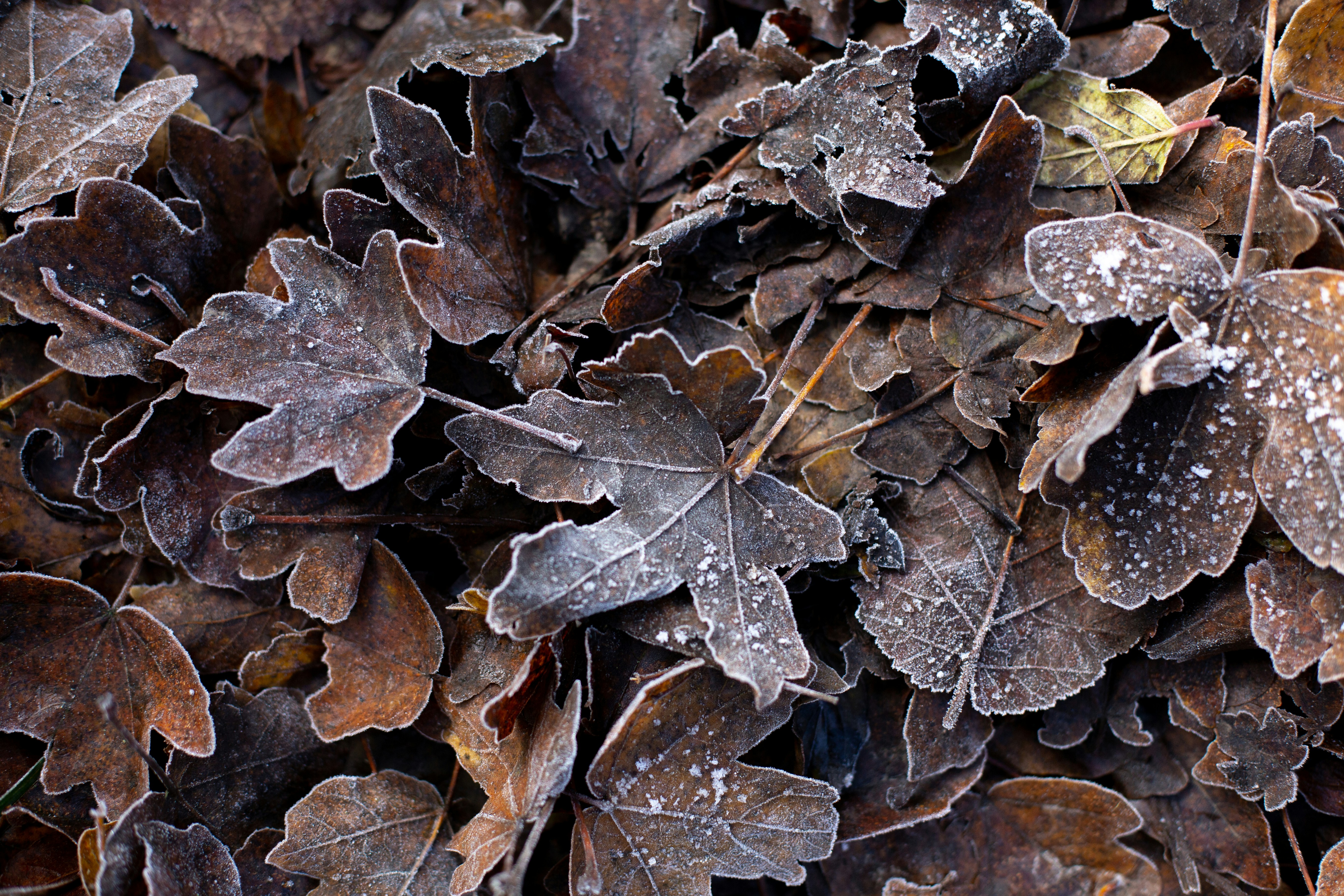 Photo by annemarieschaepman