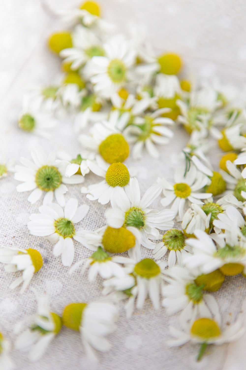 a bunch of white and yellow flowers on a table