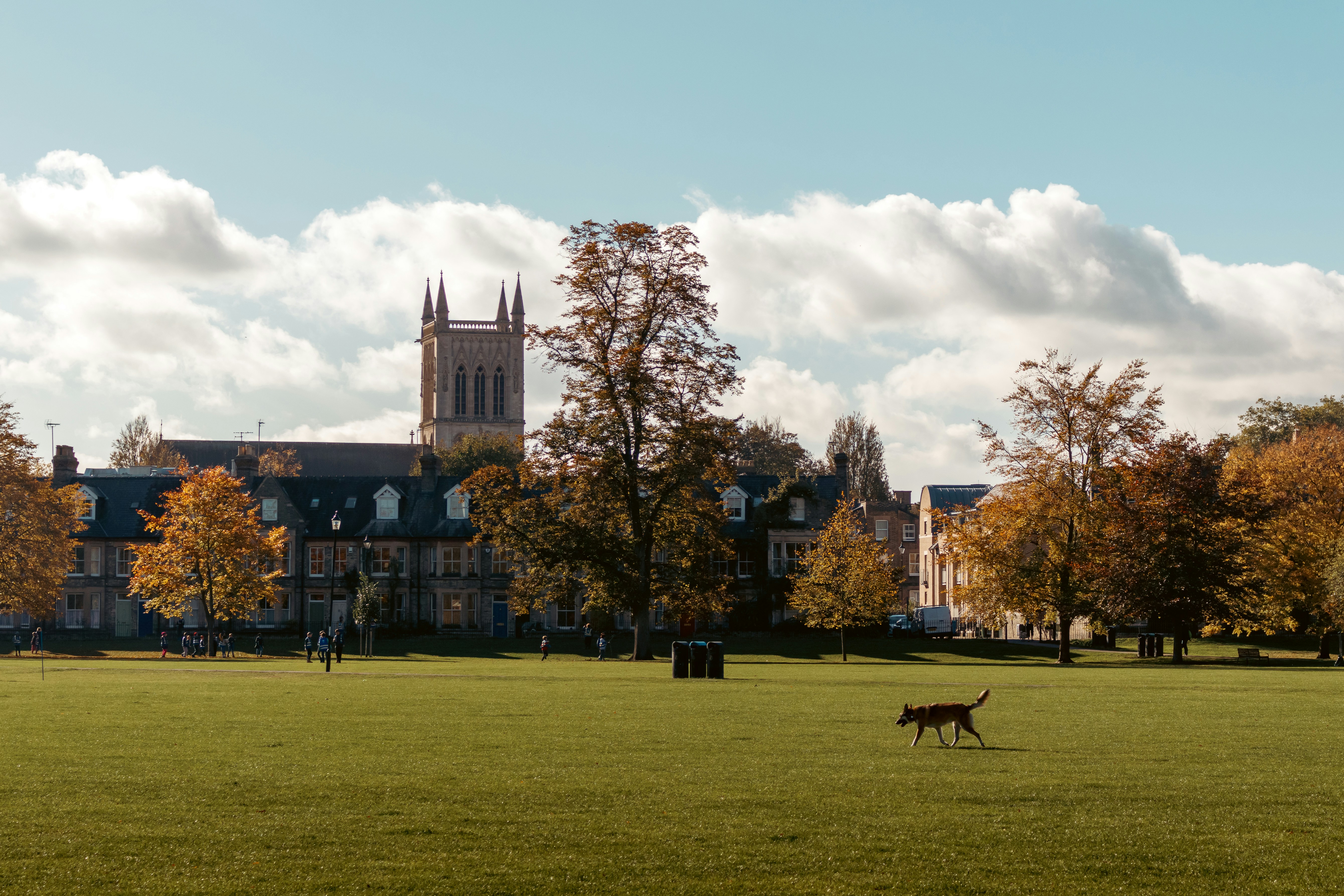 a dog running in a field in front of a building, 