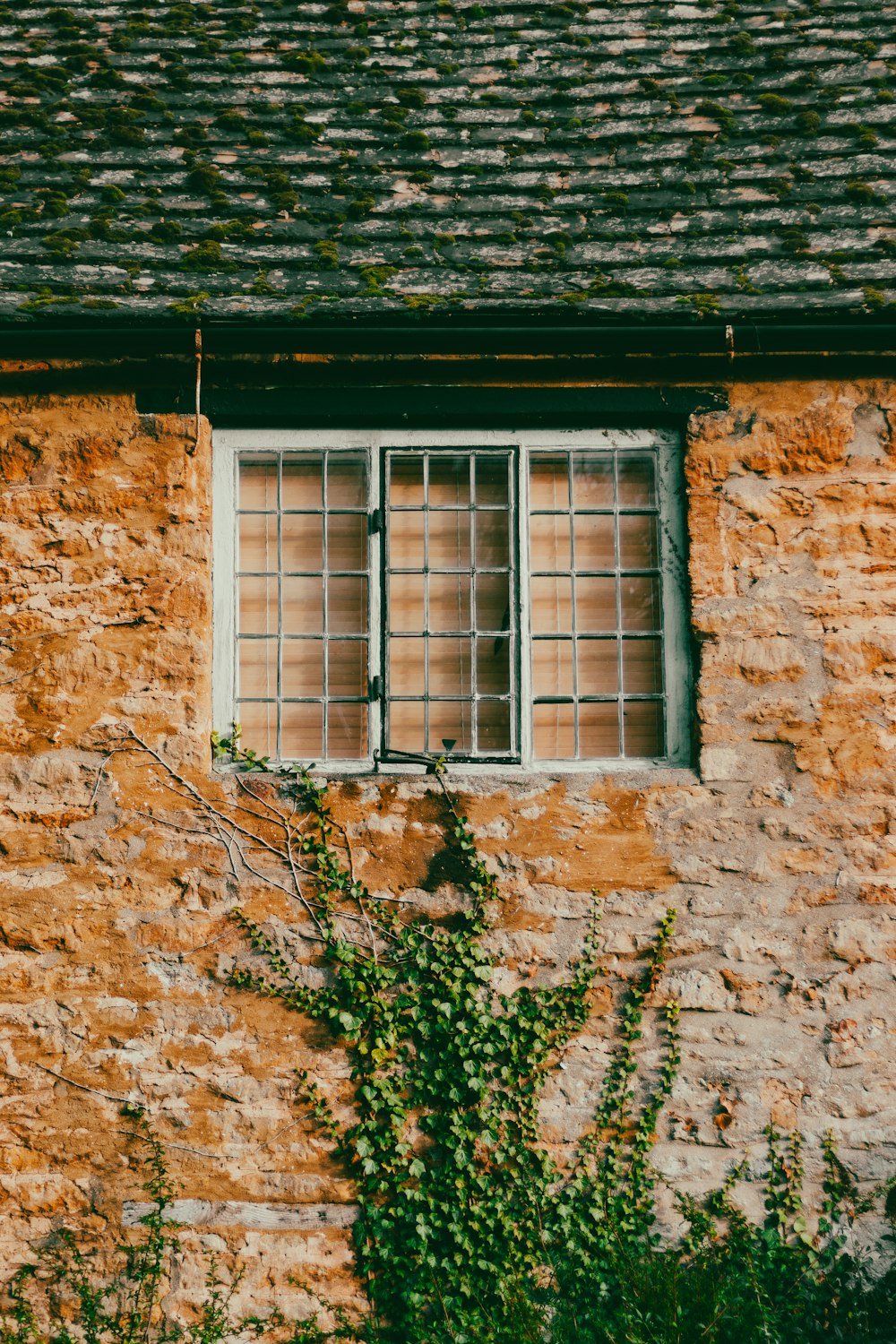 a brick building with a window and vines growing up the side of it