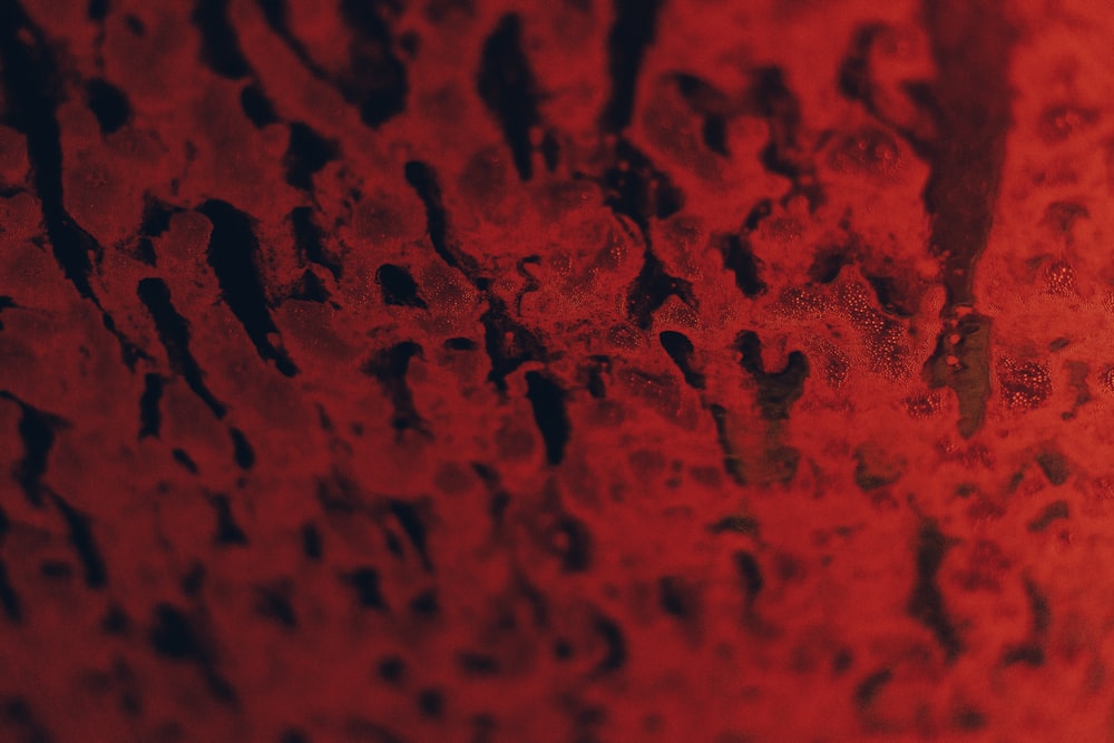 a close up of water droplets on a red surface