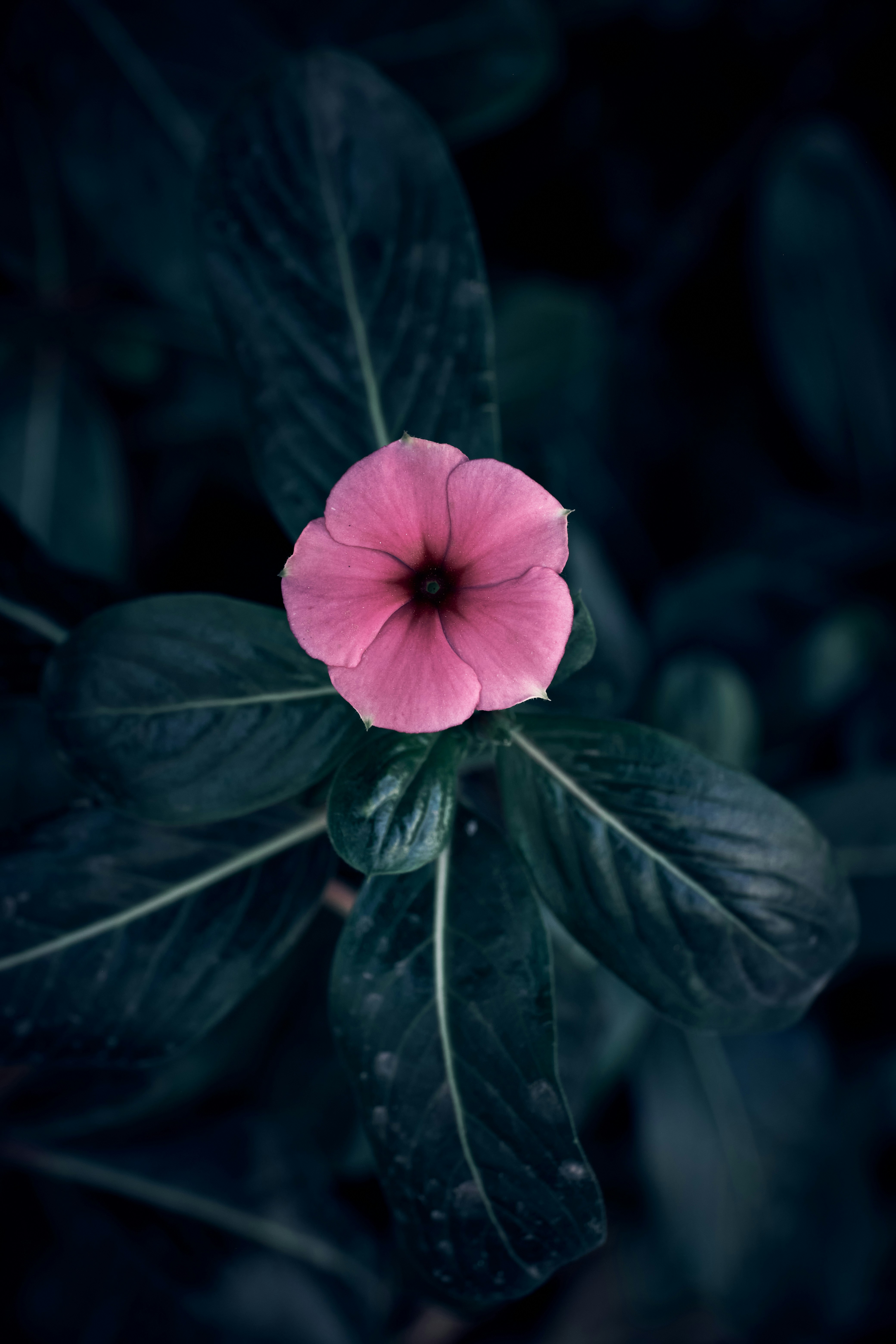 Photo by barezb