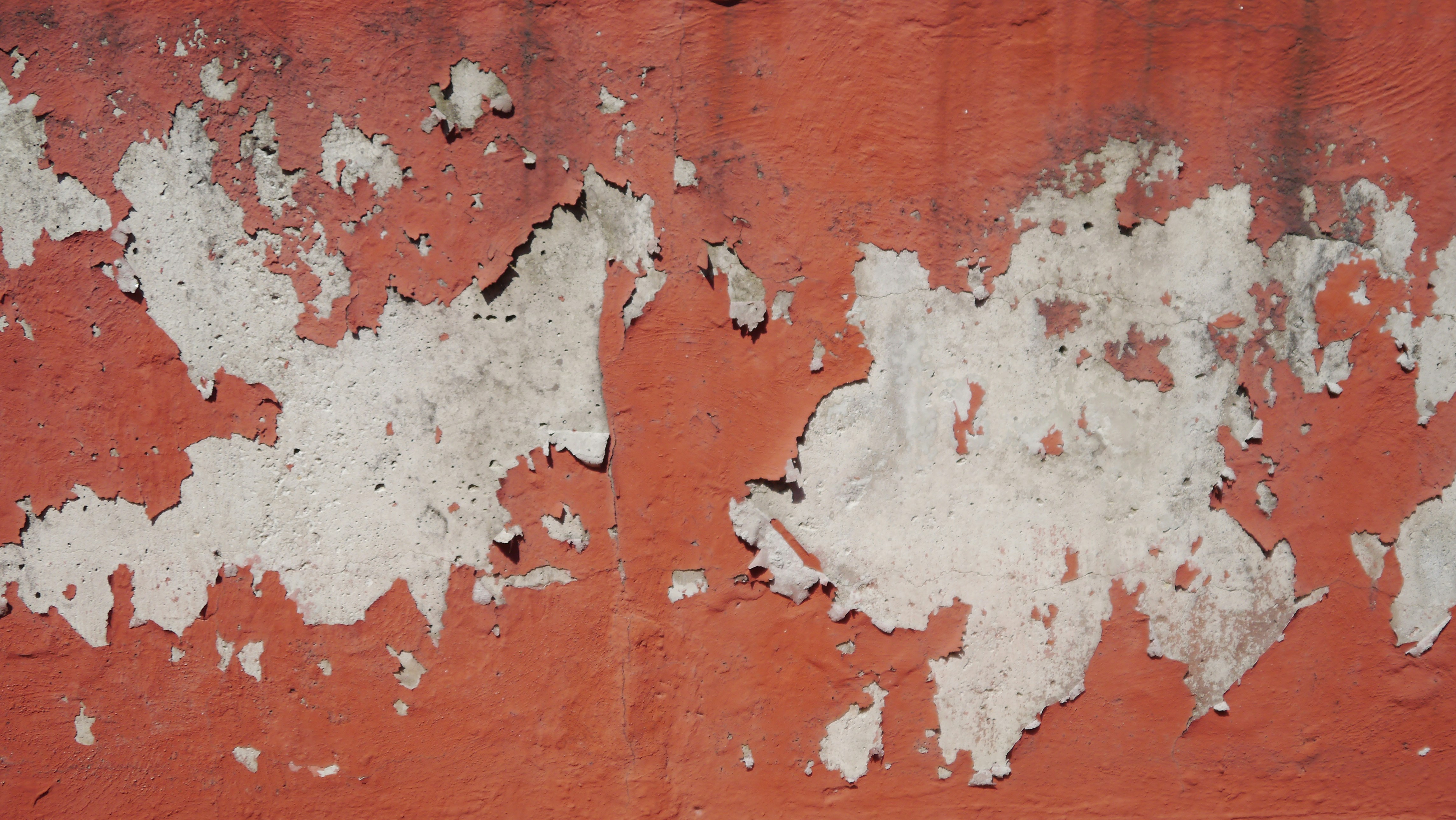 Photo by celsoramone