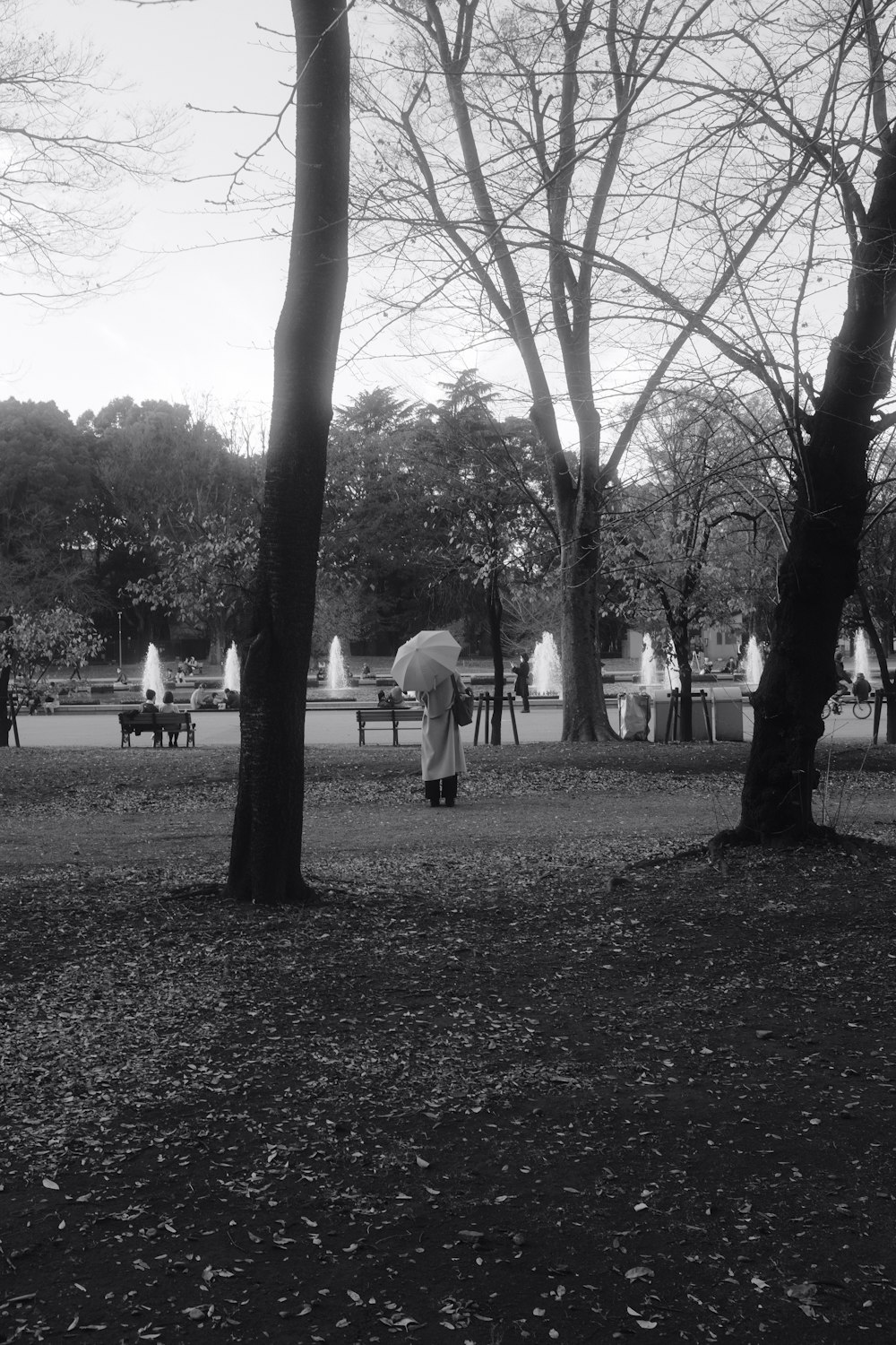 a black and white photo of people walking in a park