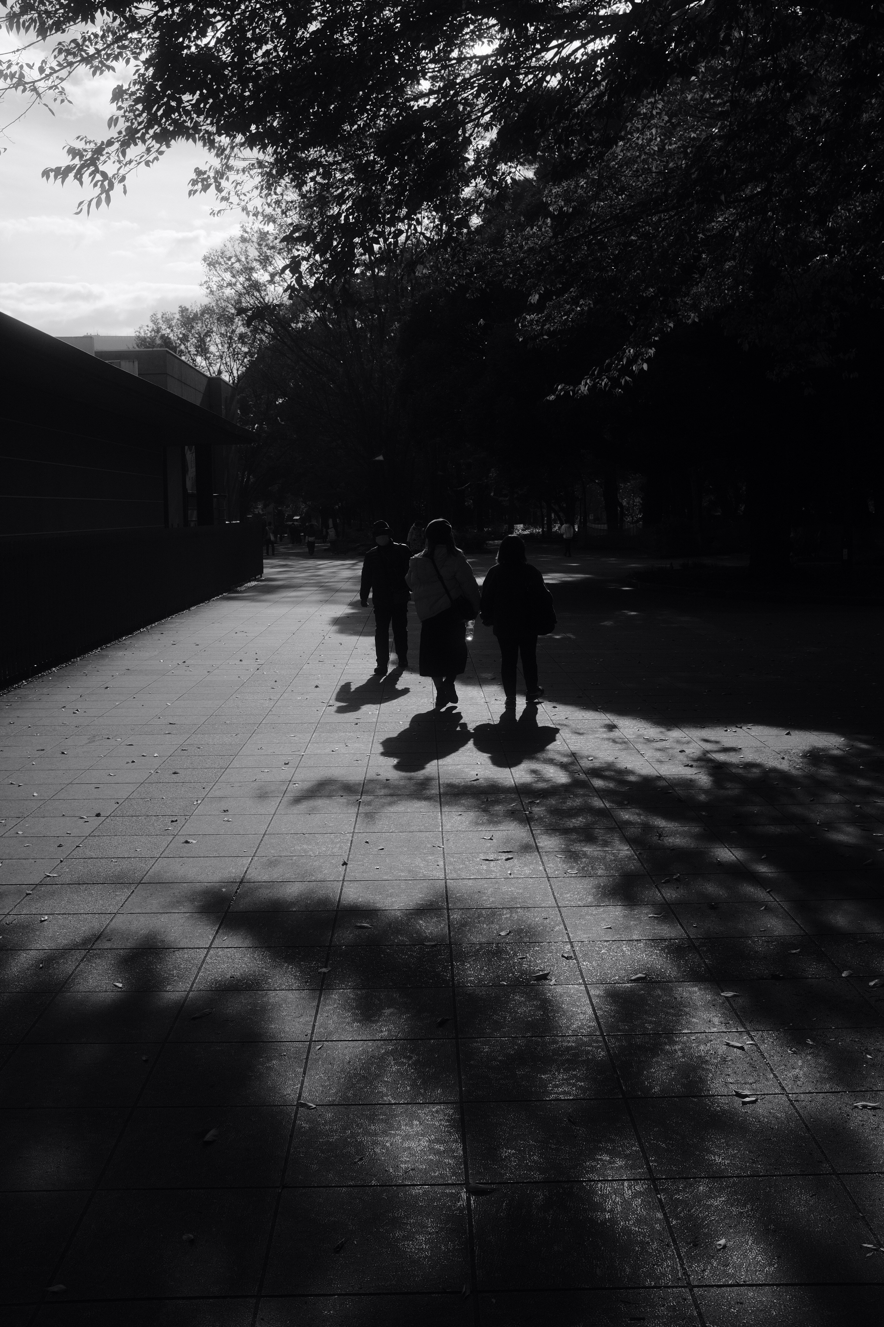 Photo by mak_jp