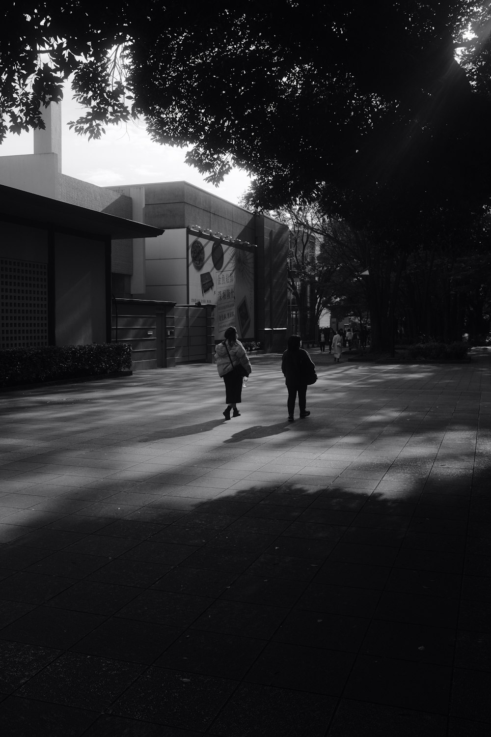 a couple of kids that are standing in the street