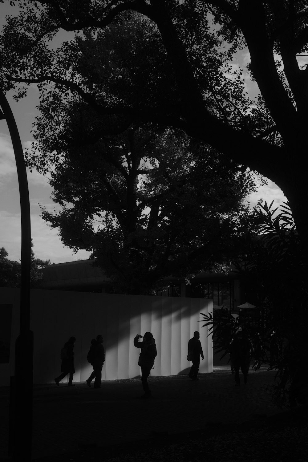 a group of people walking down a street next to a tree