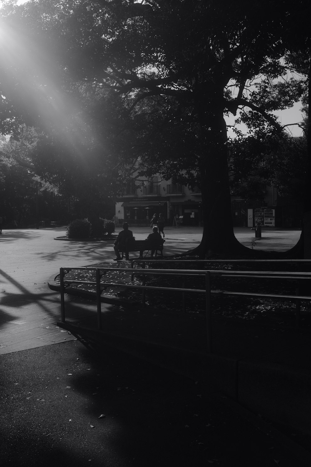 uma foto em preto e branco de um banco do parque