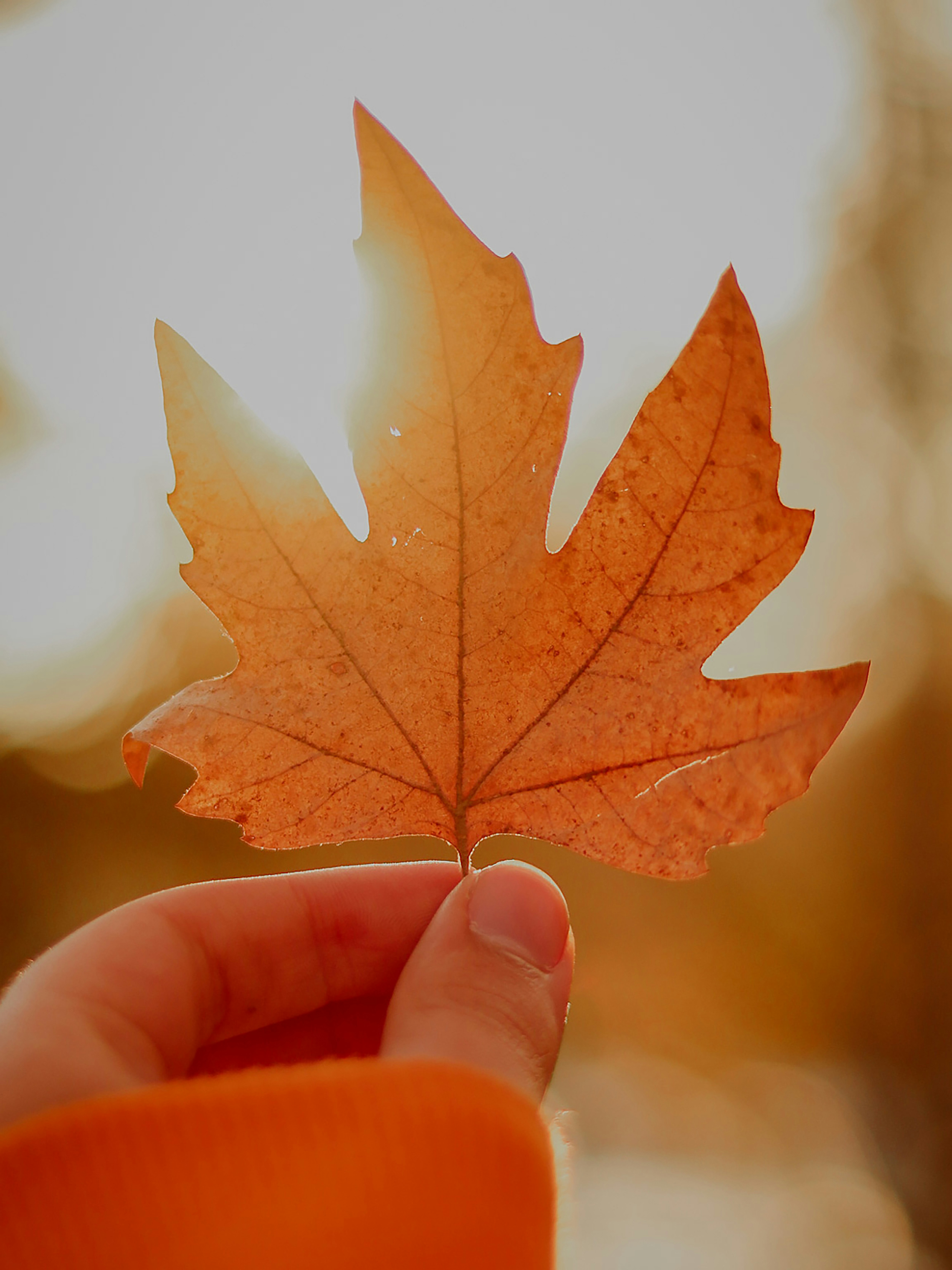 Photo by thehosseiin