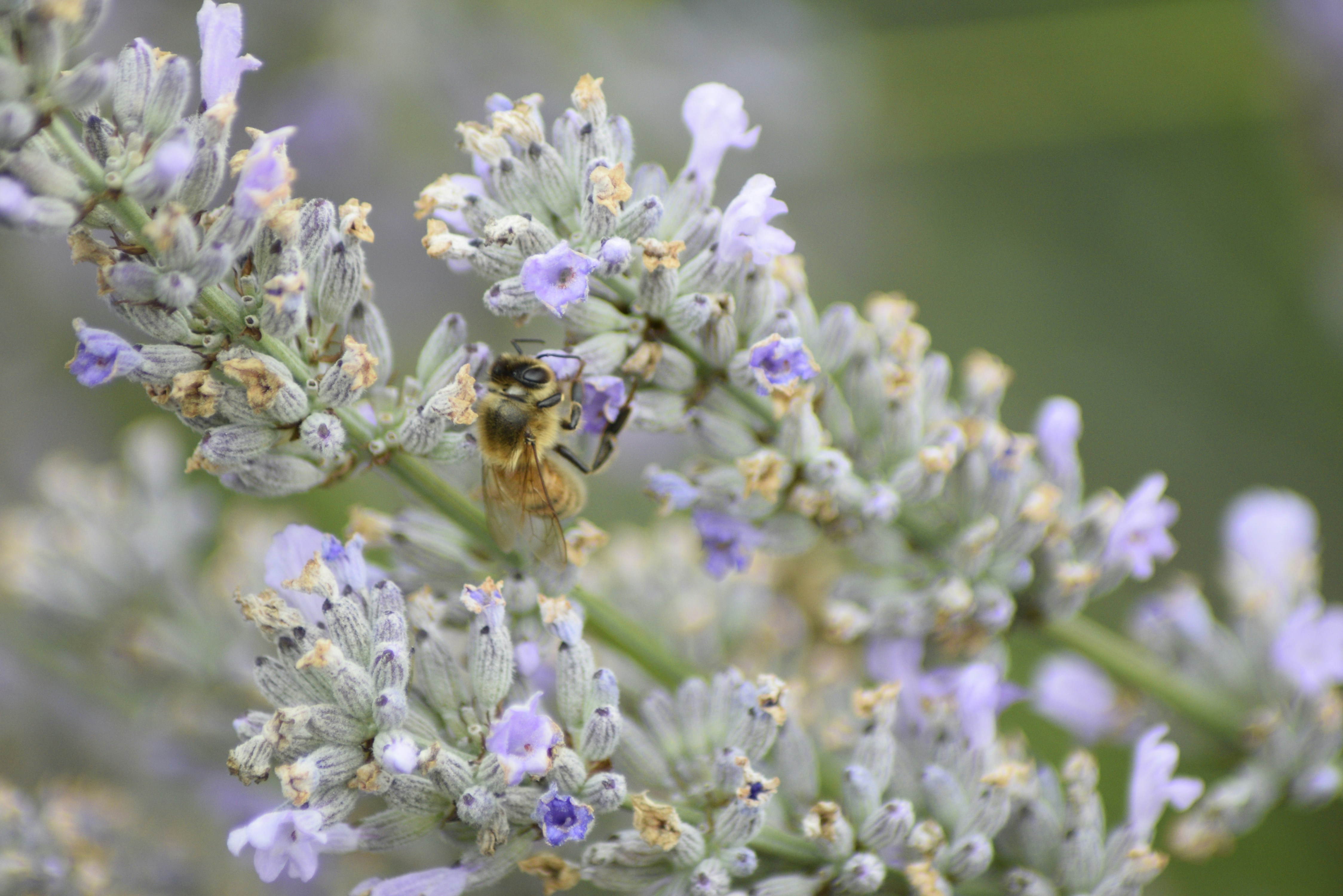 Photo by frankieremington