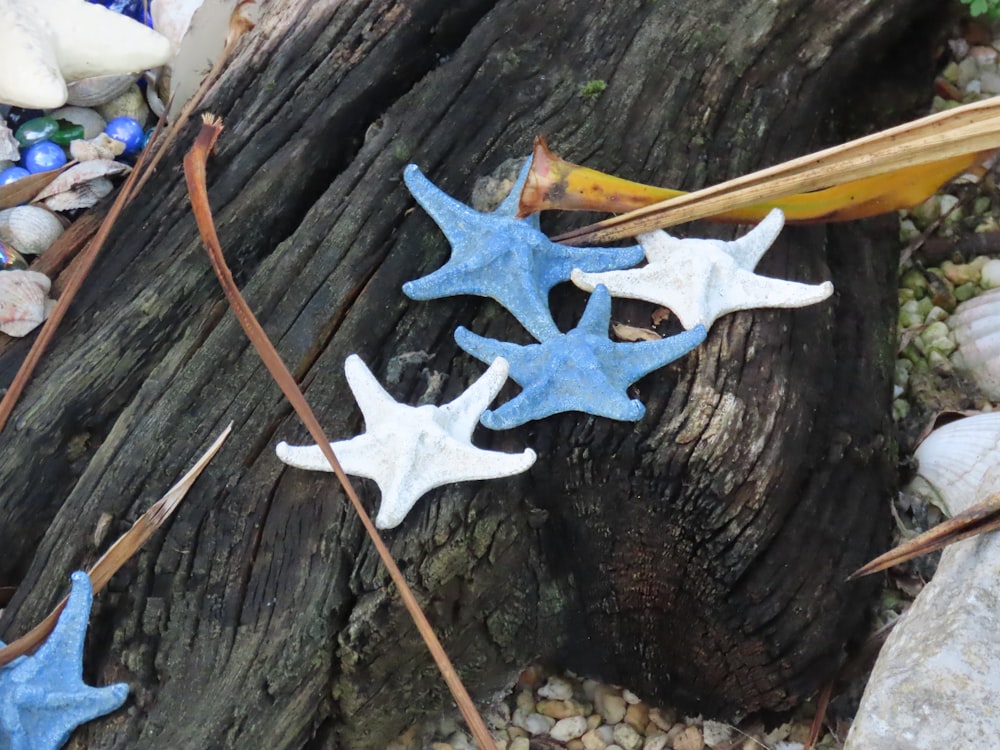 a group of blue and white stars on a tree stump