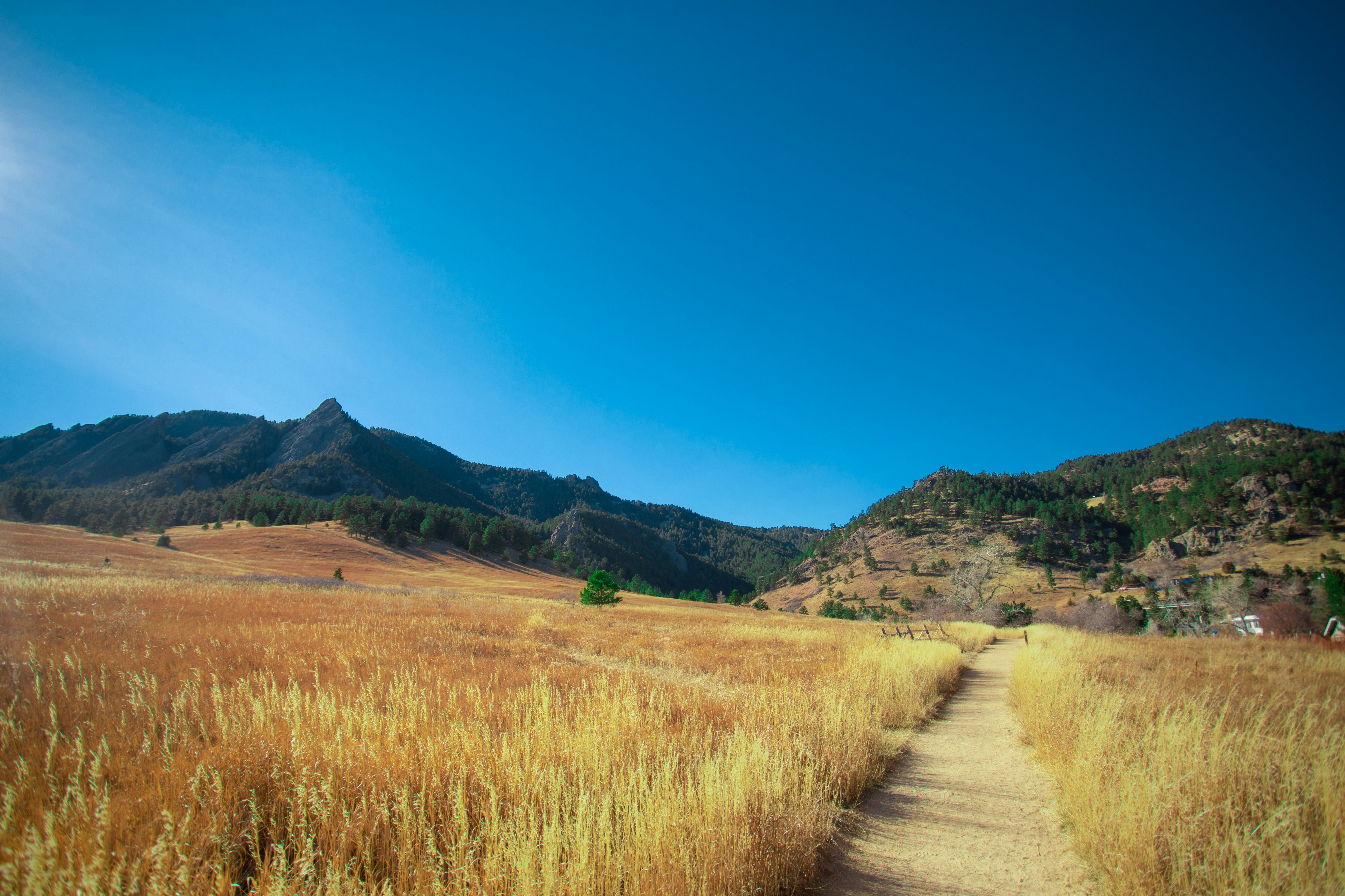 Photo by photosoflogan