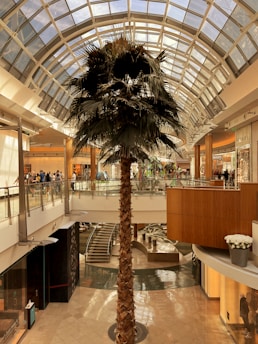 A tall palm tree stands in the middle of a spacious shopping mall with a large, arched glass ceiling allowing natural light to illuminate the area. Shoppers can be seen on a mezzanine level, and various high-end store displays, including Prada and Louis Vuitton, are visible. The architecture is modern, with clean lines and a mix of wood and metal accents.