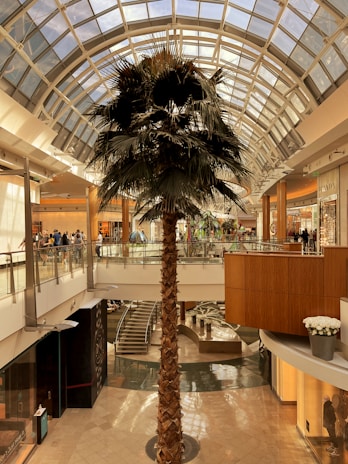 A tall palm tree stands in the middle of a spacious shopping mall with a large, arched glass ceiling allowing natural light to illuminate the area. Shoppers can be seen on a mezzanine level, and various high-end store displays, including Prada and Louis Vuitton, are visible. The architecture is modern, with clean lines and a mix of wood and metal accents.