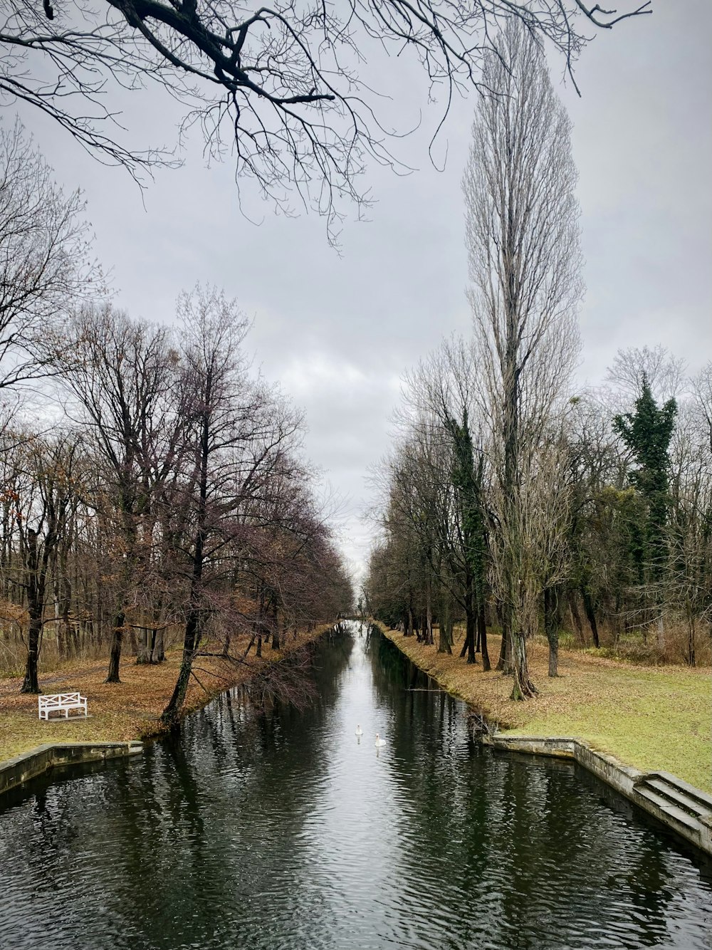 a river running through a park next to a park bench