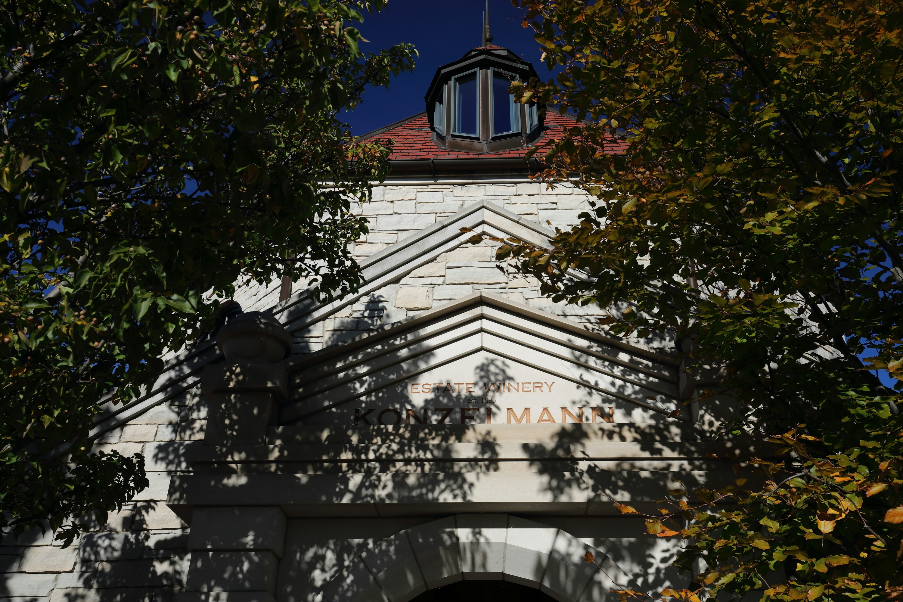 Photo by rosethornlily