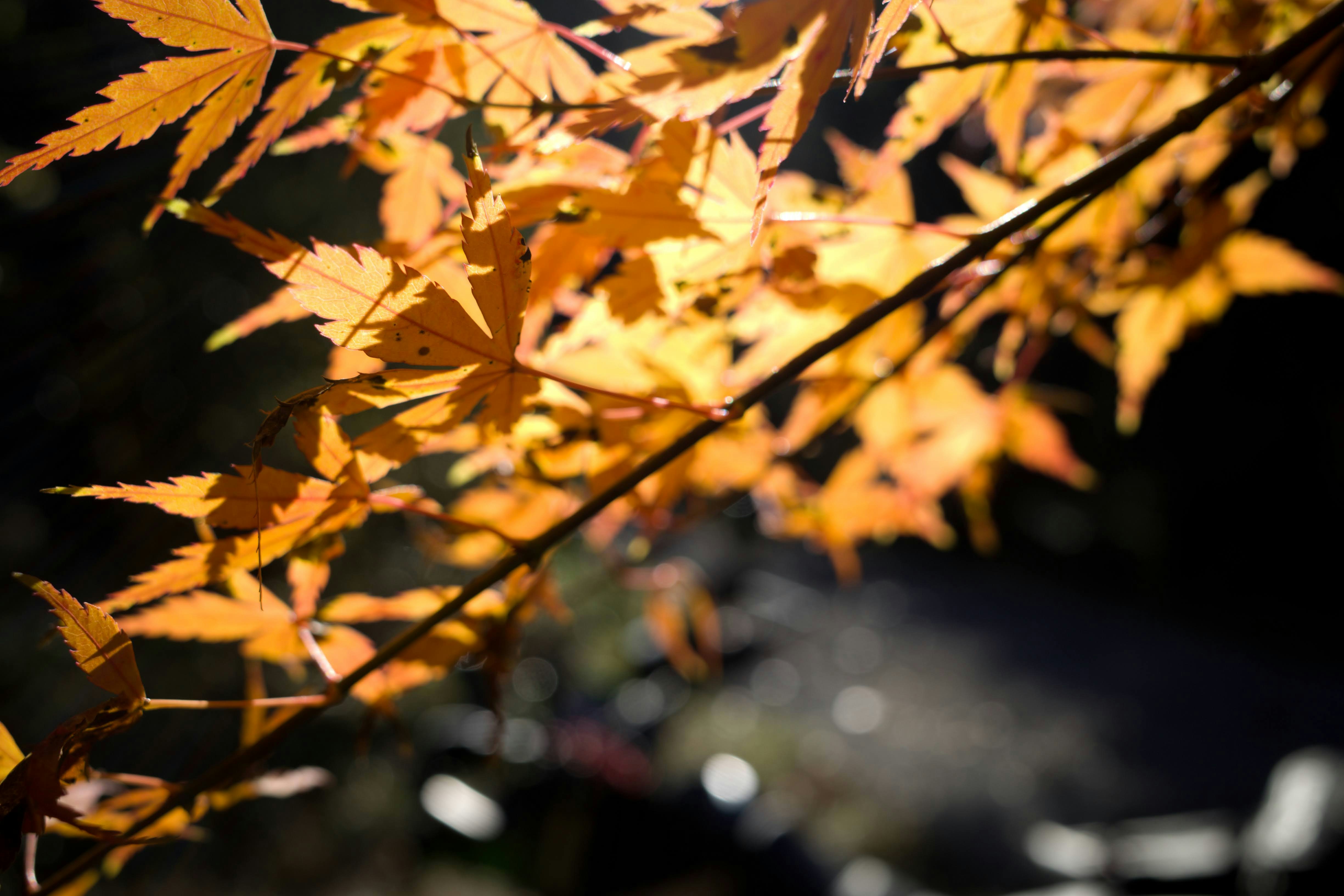 Photo by hotakasaito