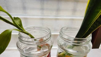 A clear glass jar filled with chia seeds soaking in almond milk, placed next to a small plant on a windowsill